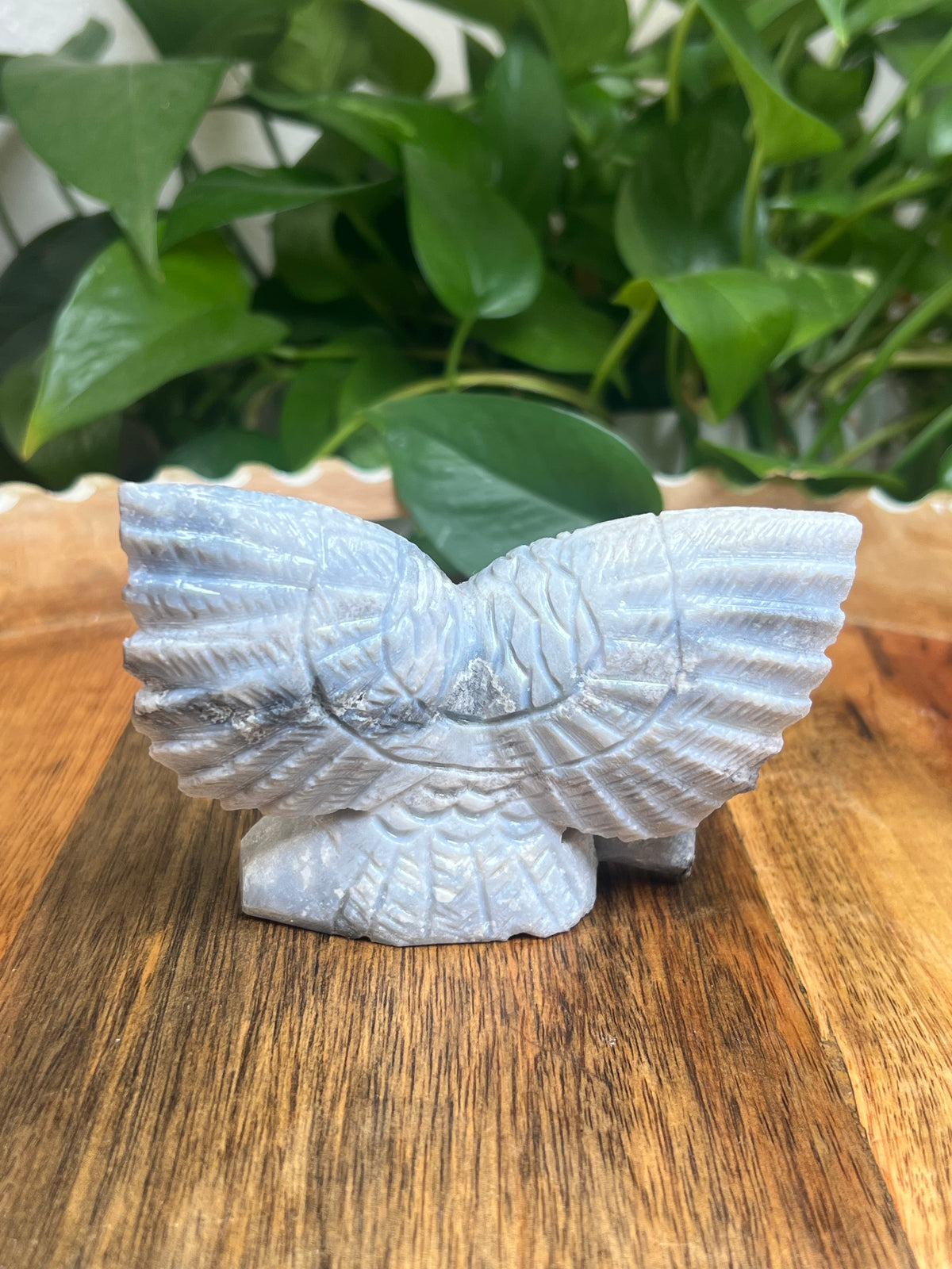Blue Plume Agate Owl: XX