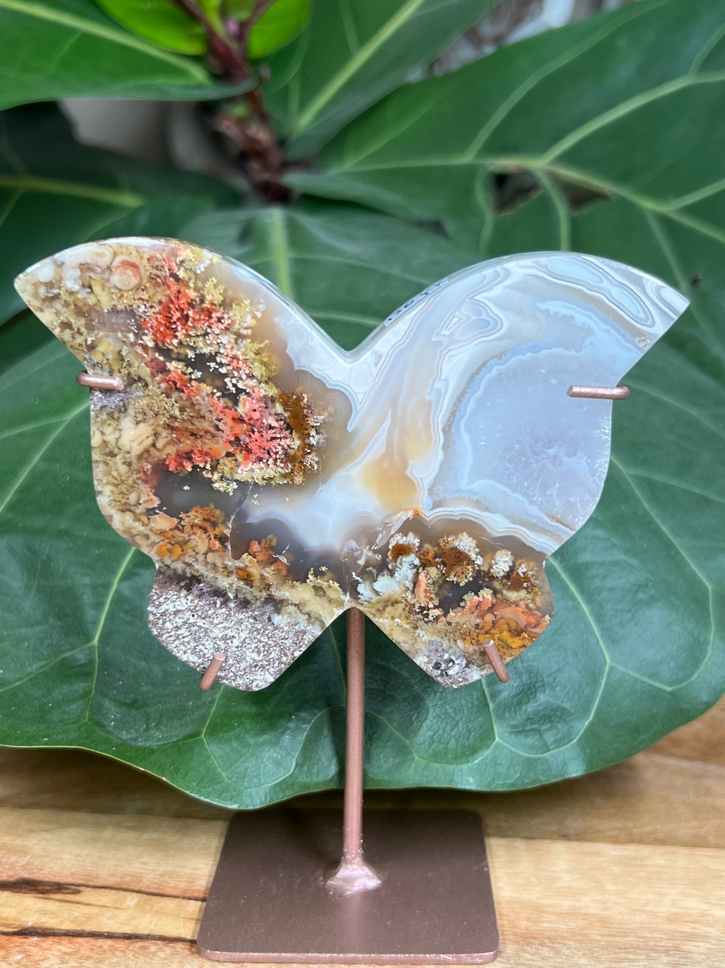 Scenic Moss Agate Butterfly
