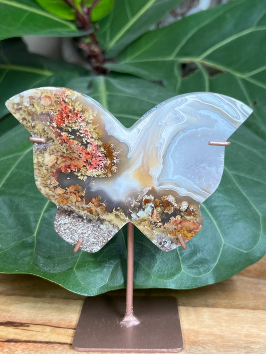 Scenic Moss Agate Butterfly
