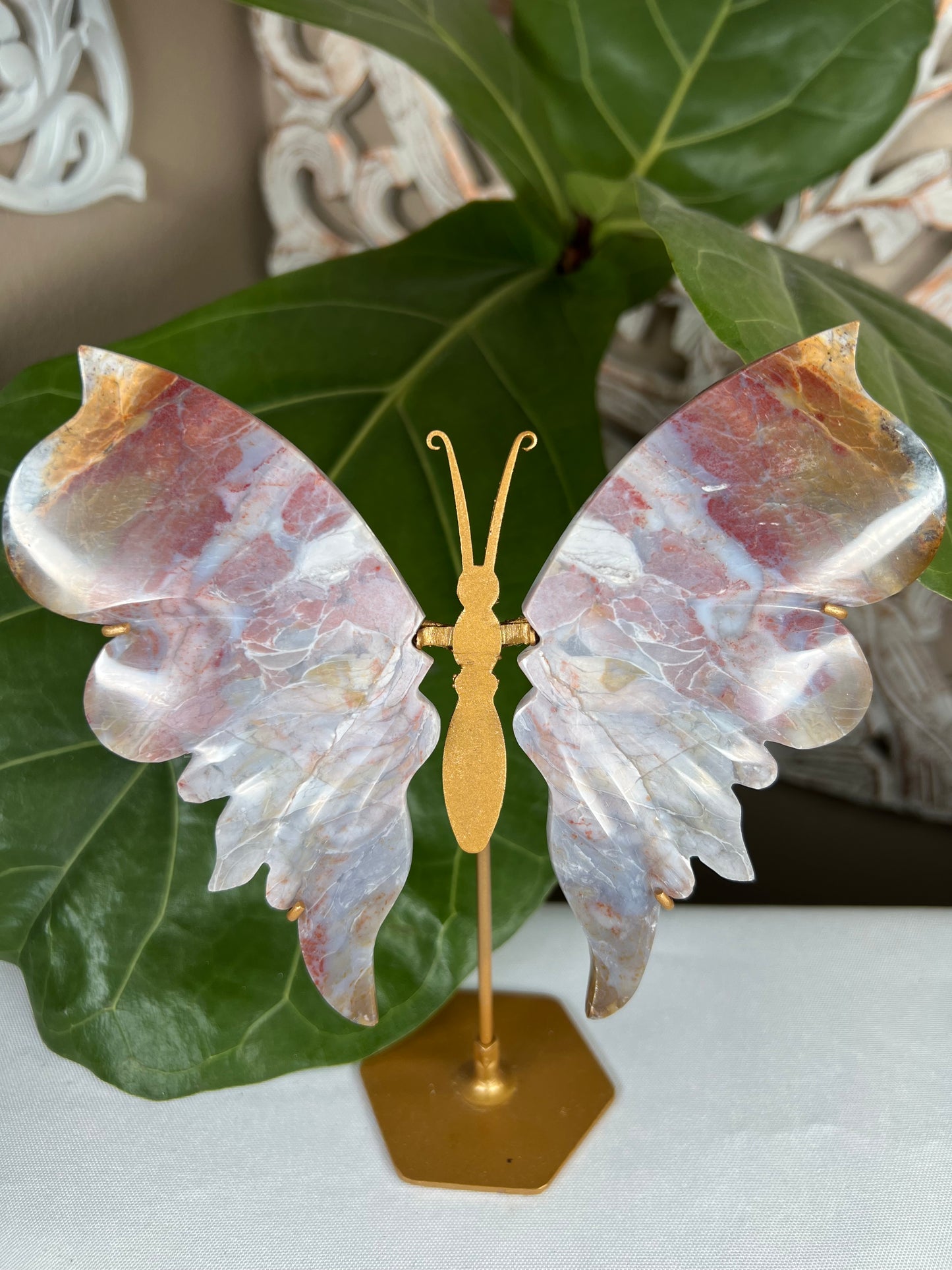 River Jasper Wings
