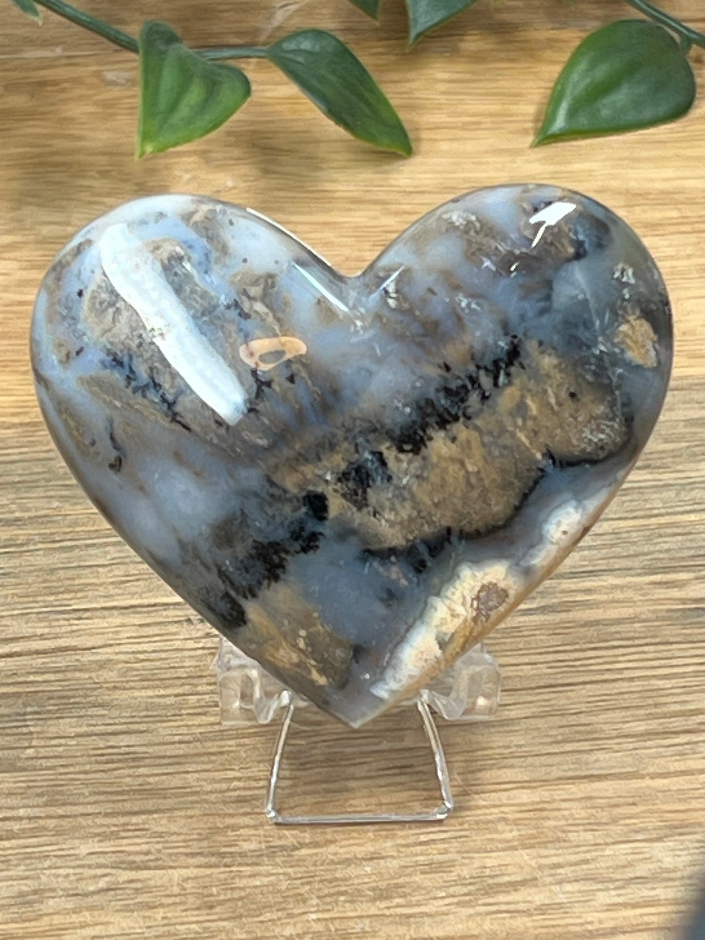 Dendritic Tiger Agate Heart