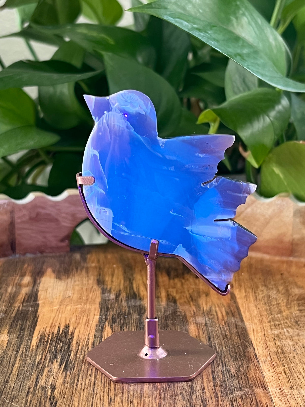 Blue Amber Bird: F
