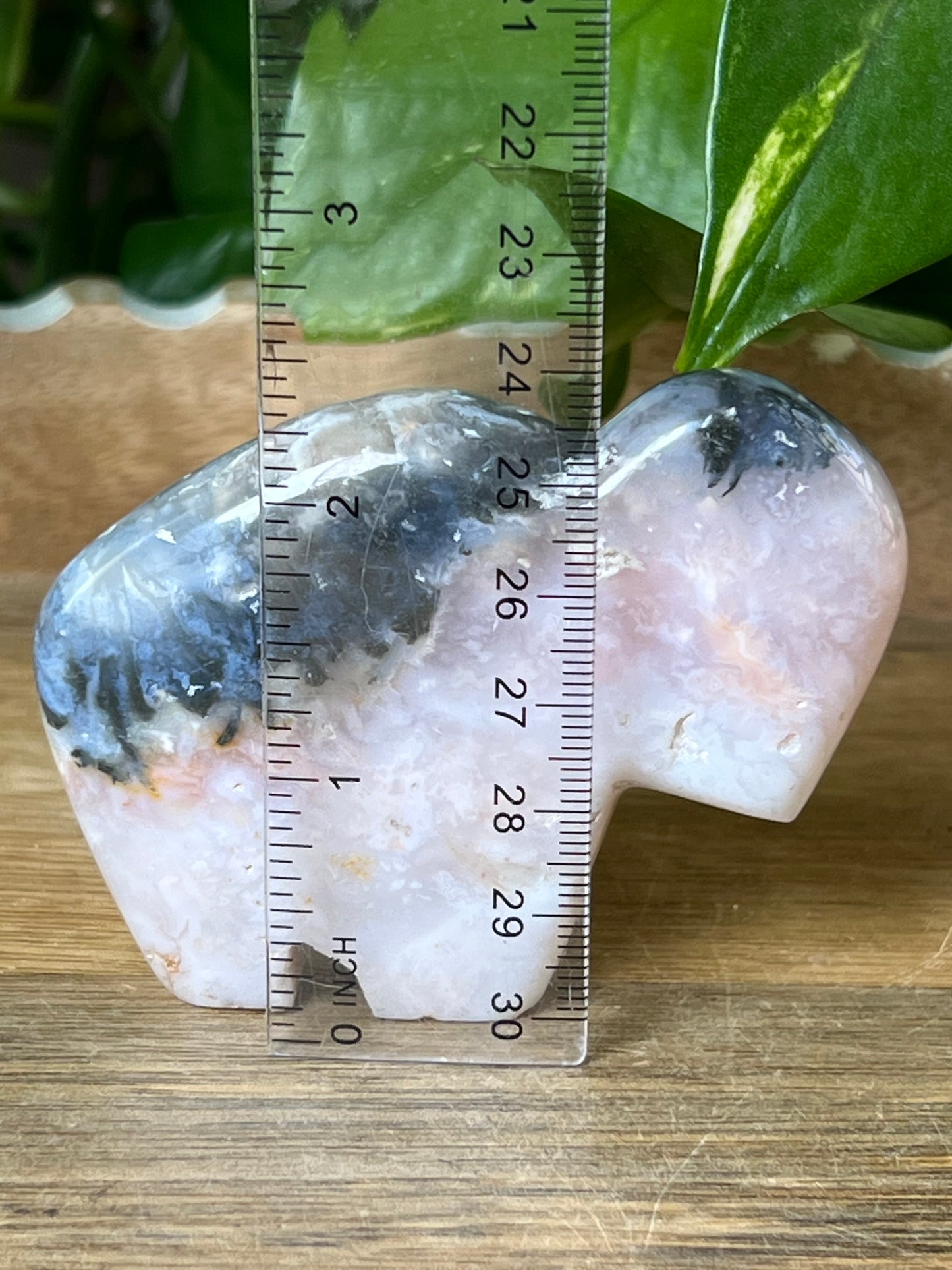 Rainbow Plume Agate Buffalo