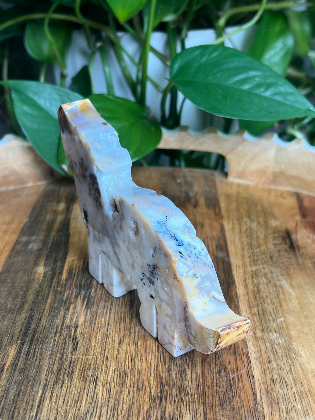 Dendritic Tiger Agate Wolf: B