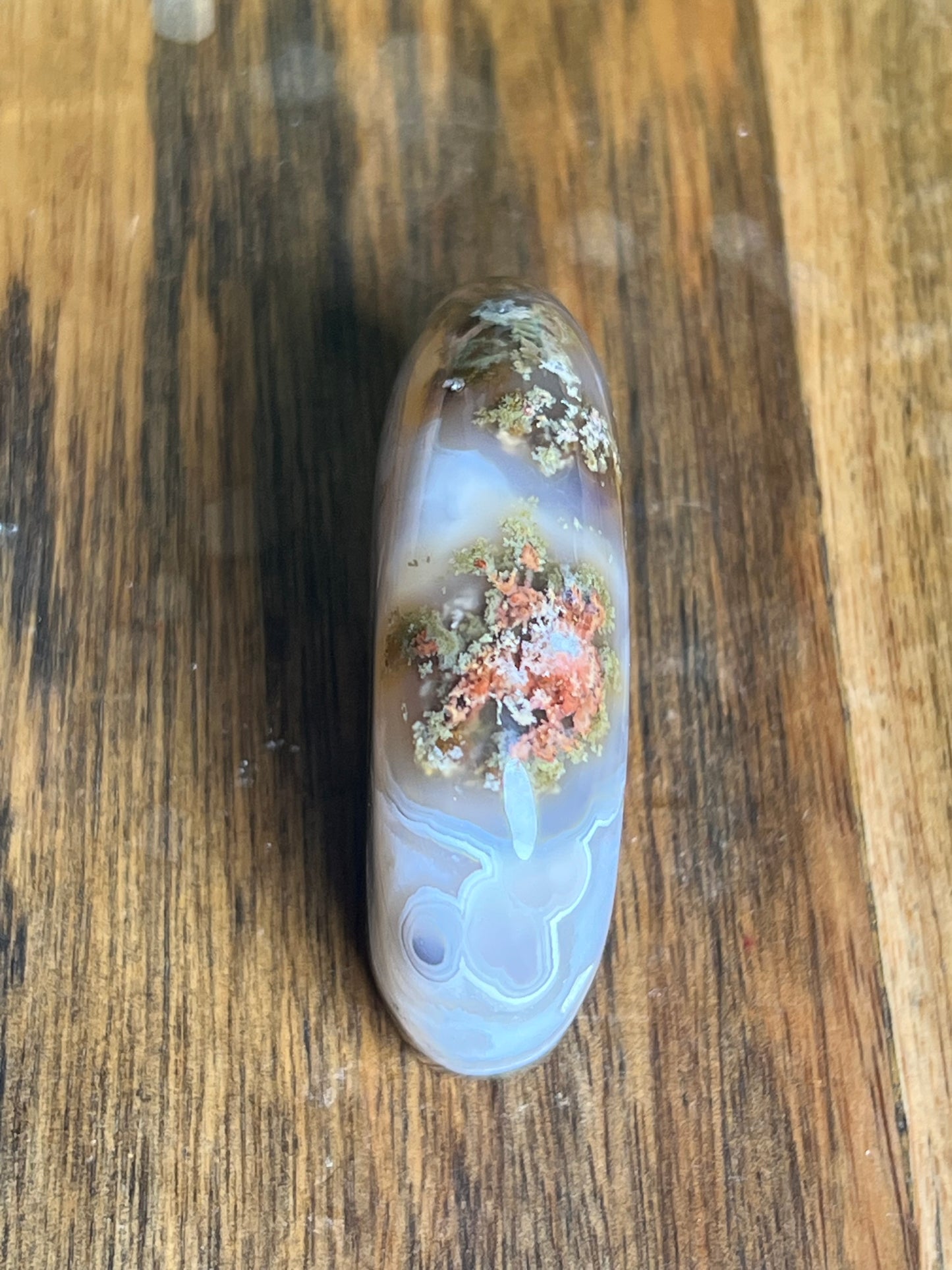 Scenic Moss Agate Bear HF