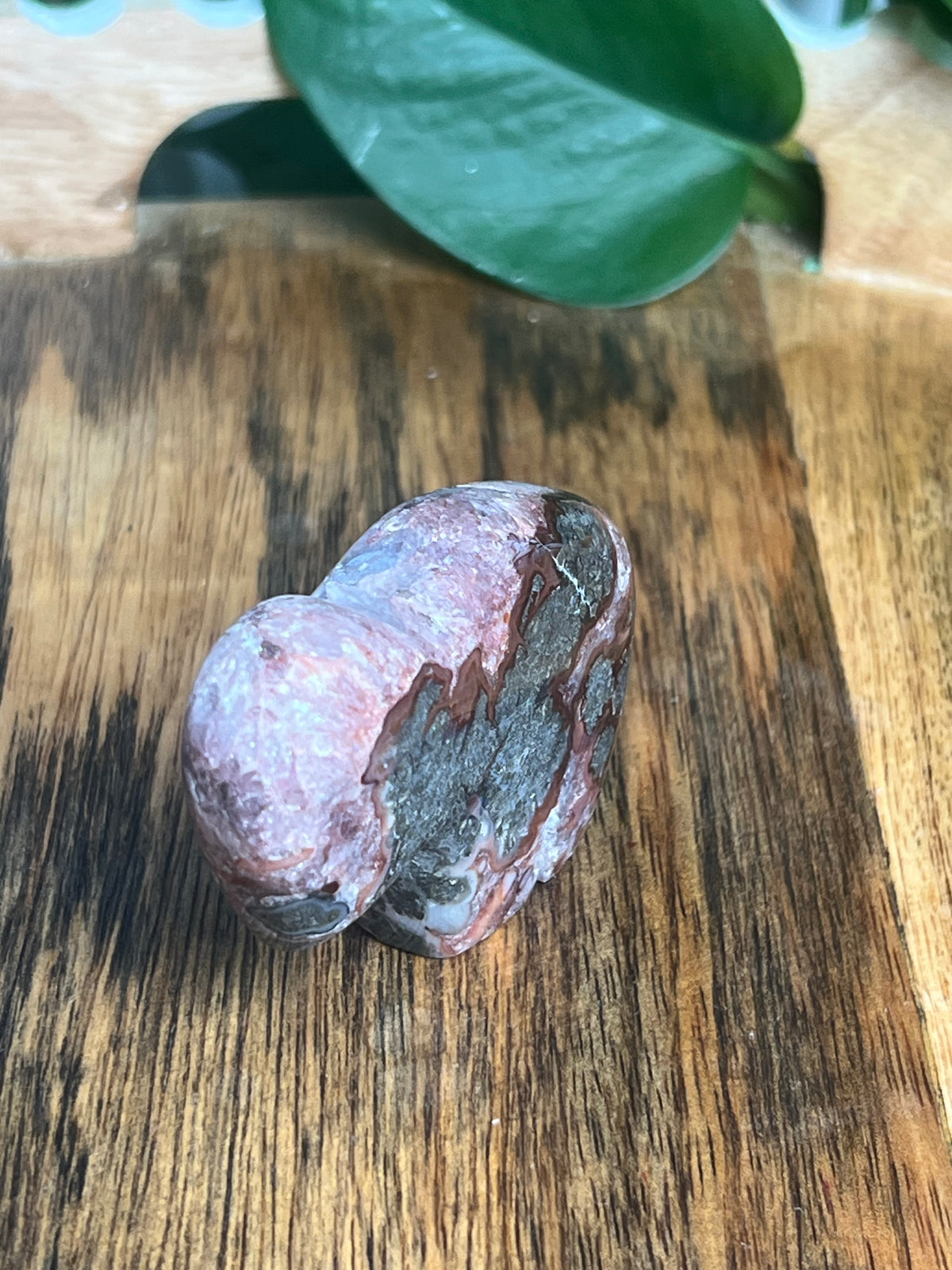 Marcasite Mini Buffalo: MD