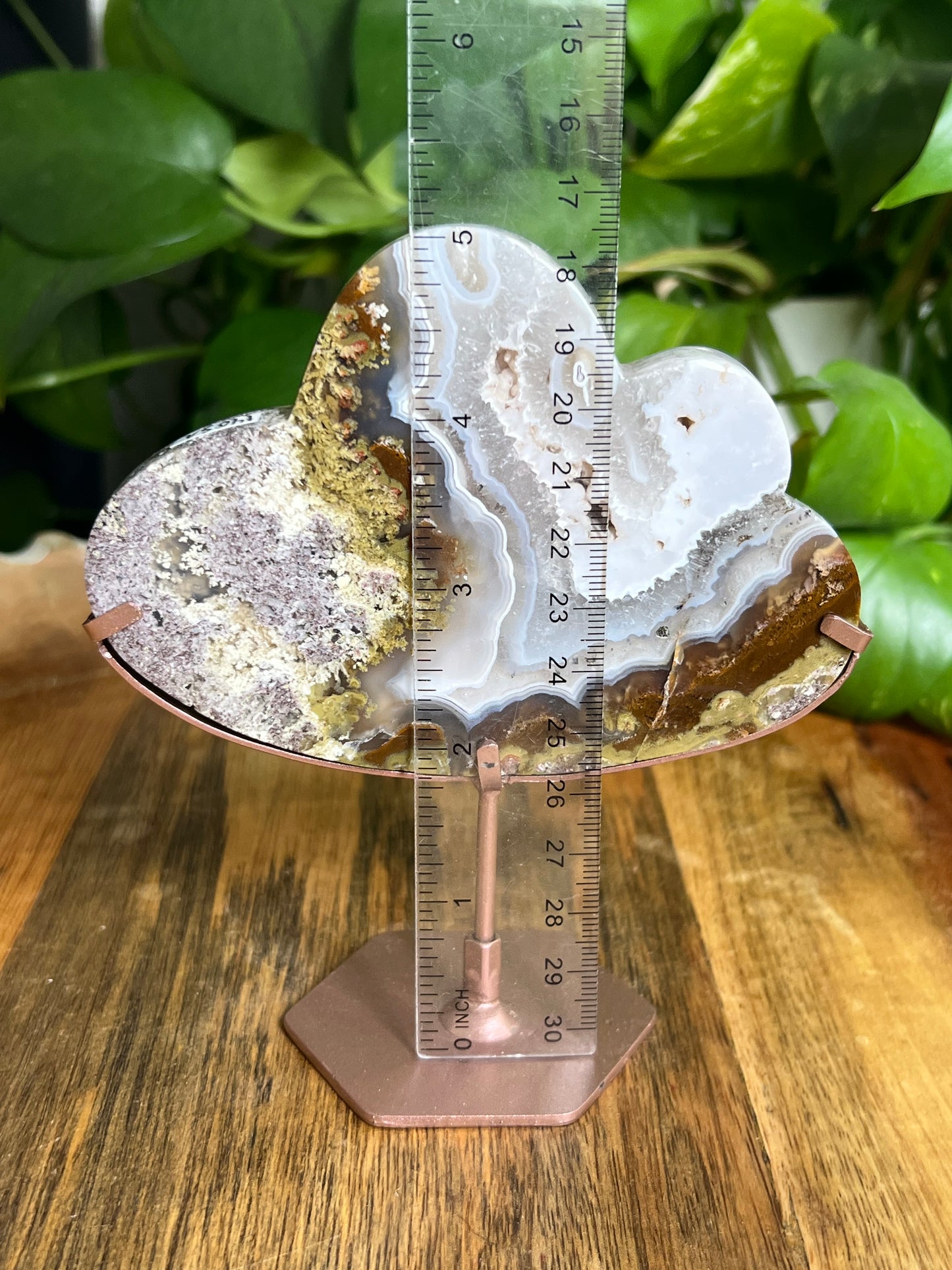 Scenic Moss Agate Cloud