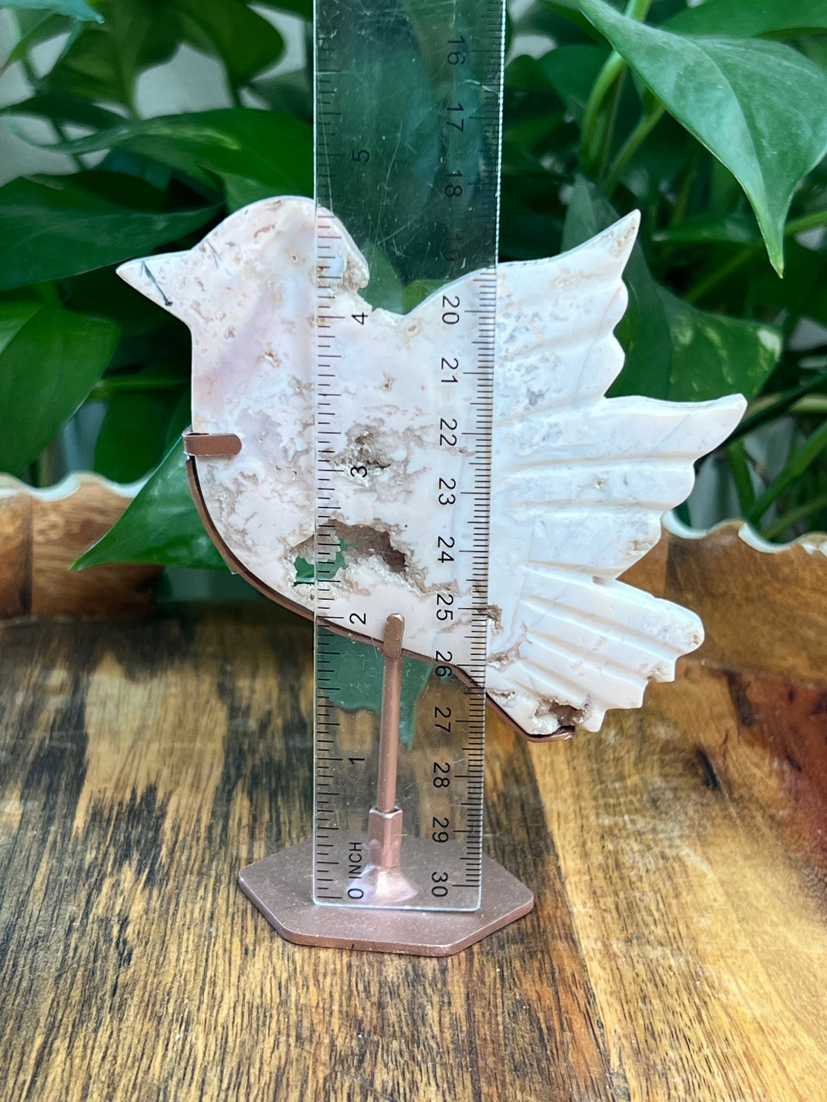Pink Carnelian Bird: N