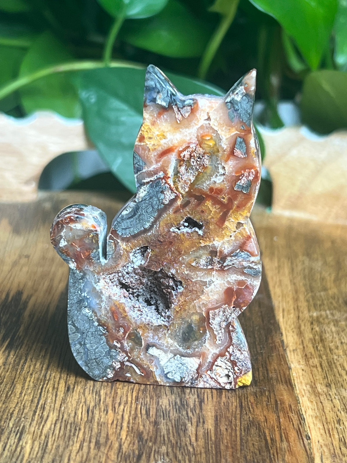 Marcasite Cat: DC