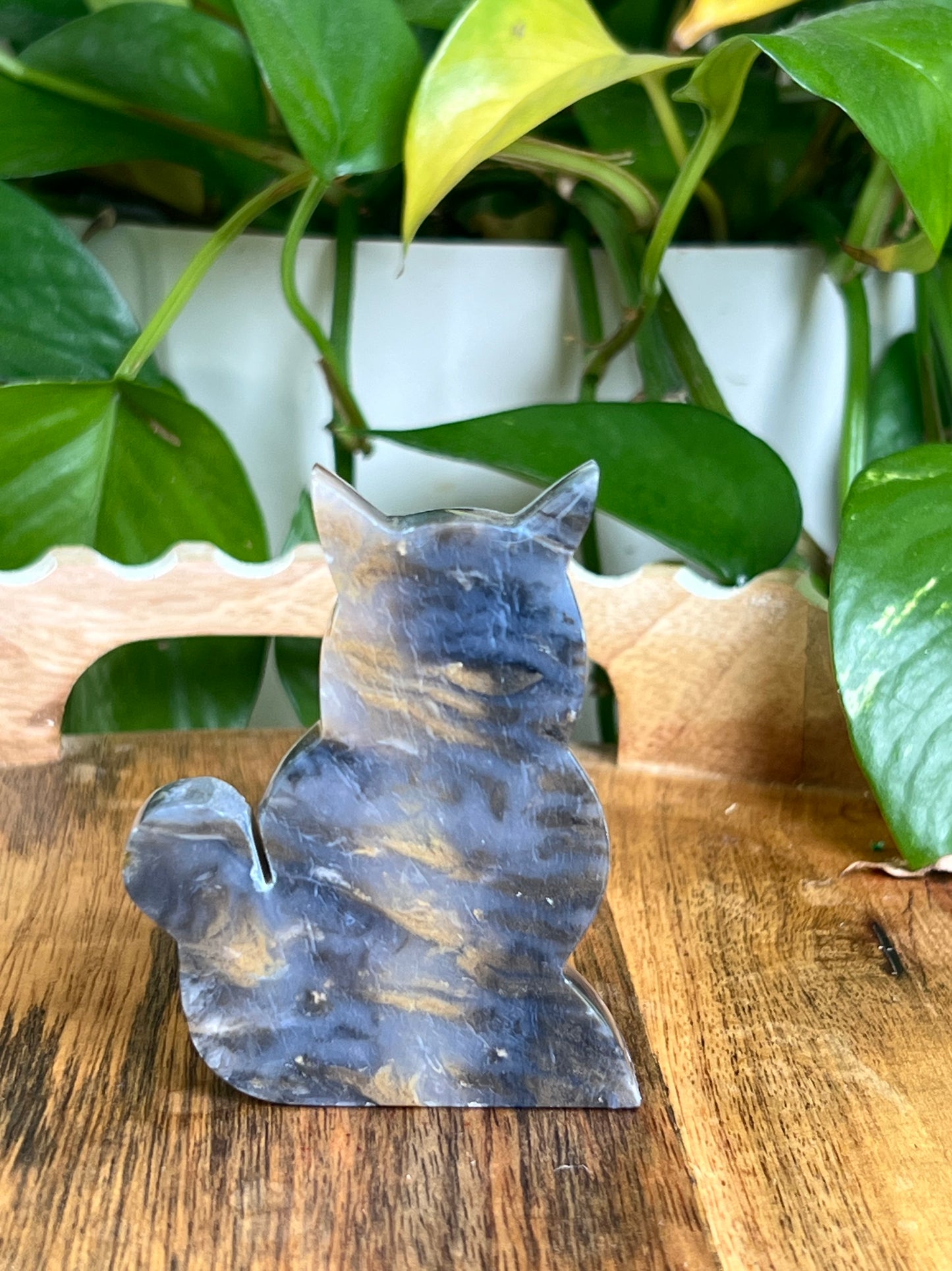 Dendritic Tiger Agate Cat AY