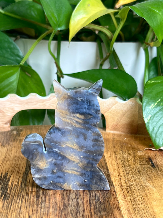 Dendritic Tiger Agate Cat AY