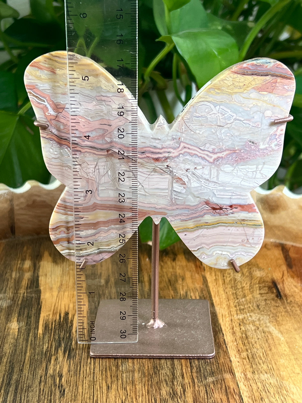 Crazy Lace Agate Butterfly: E