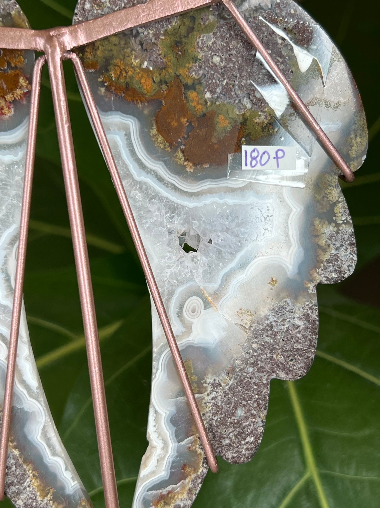 Scenic Moss Agate Wings