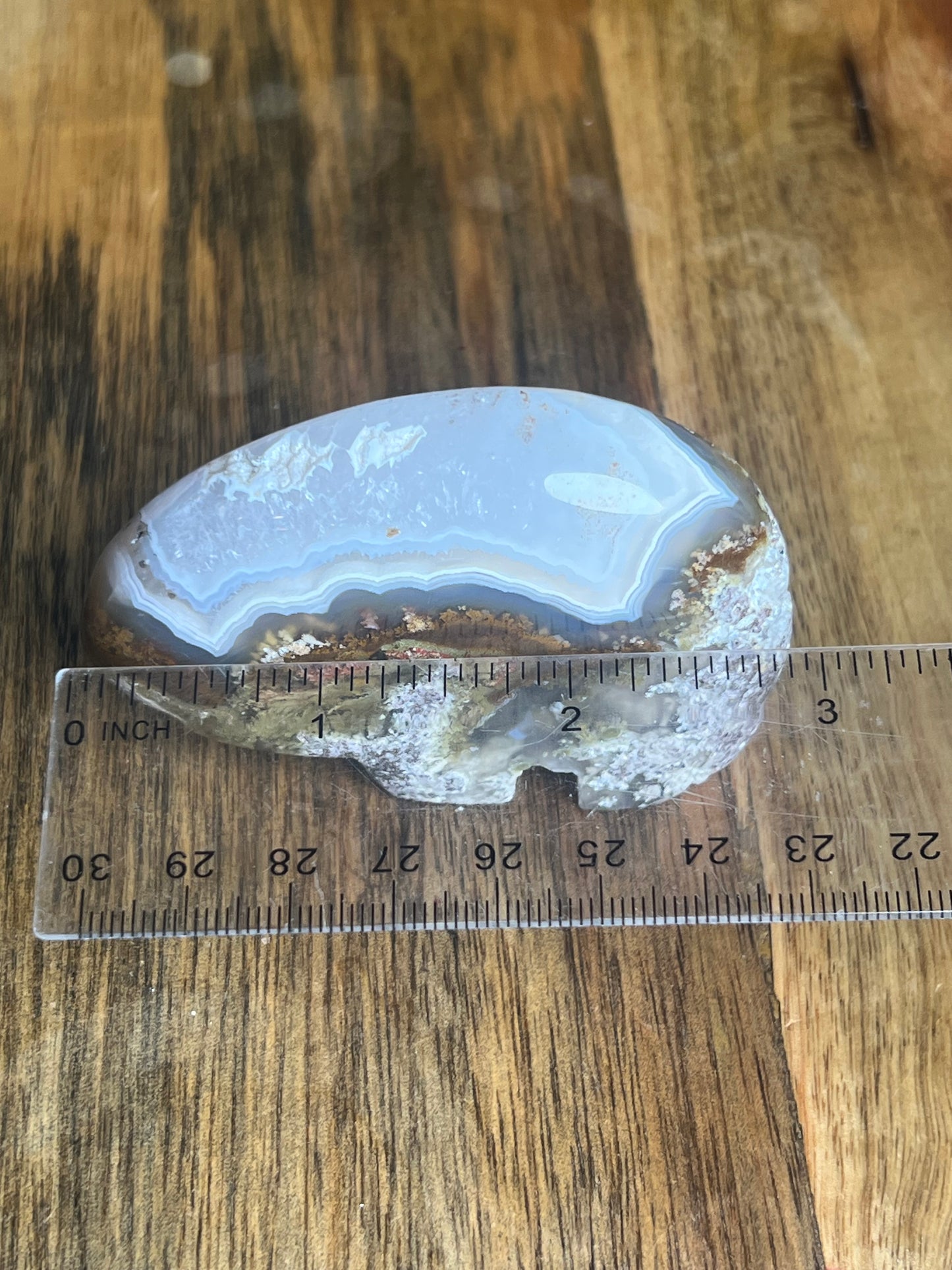 Scenic Moss Agate Bear BQ
