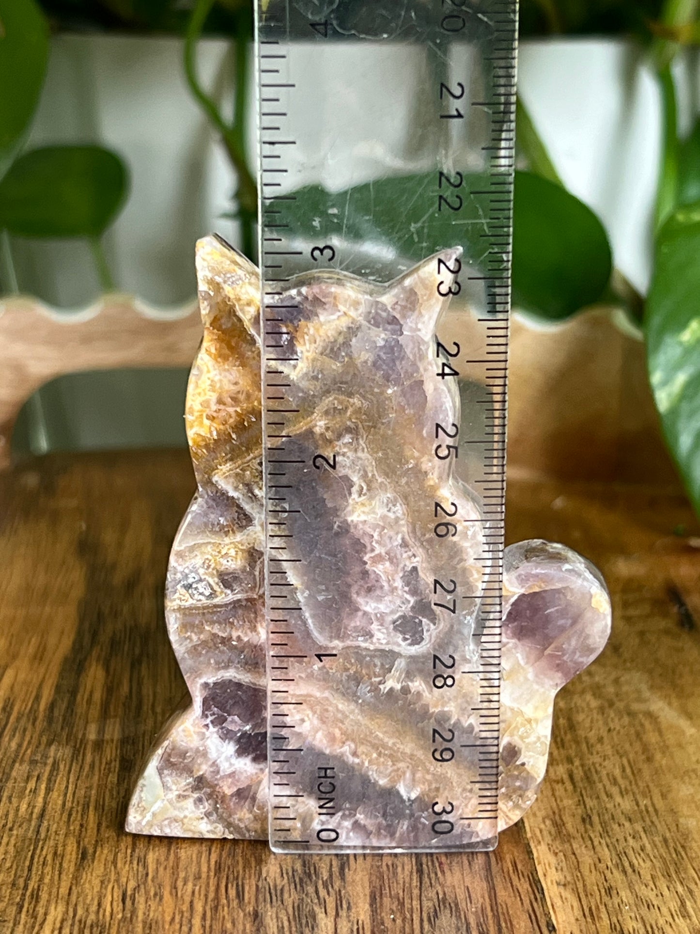 Indonesia Amethyst Cat Ci