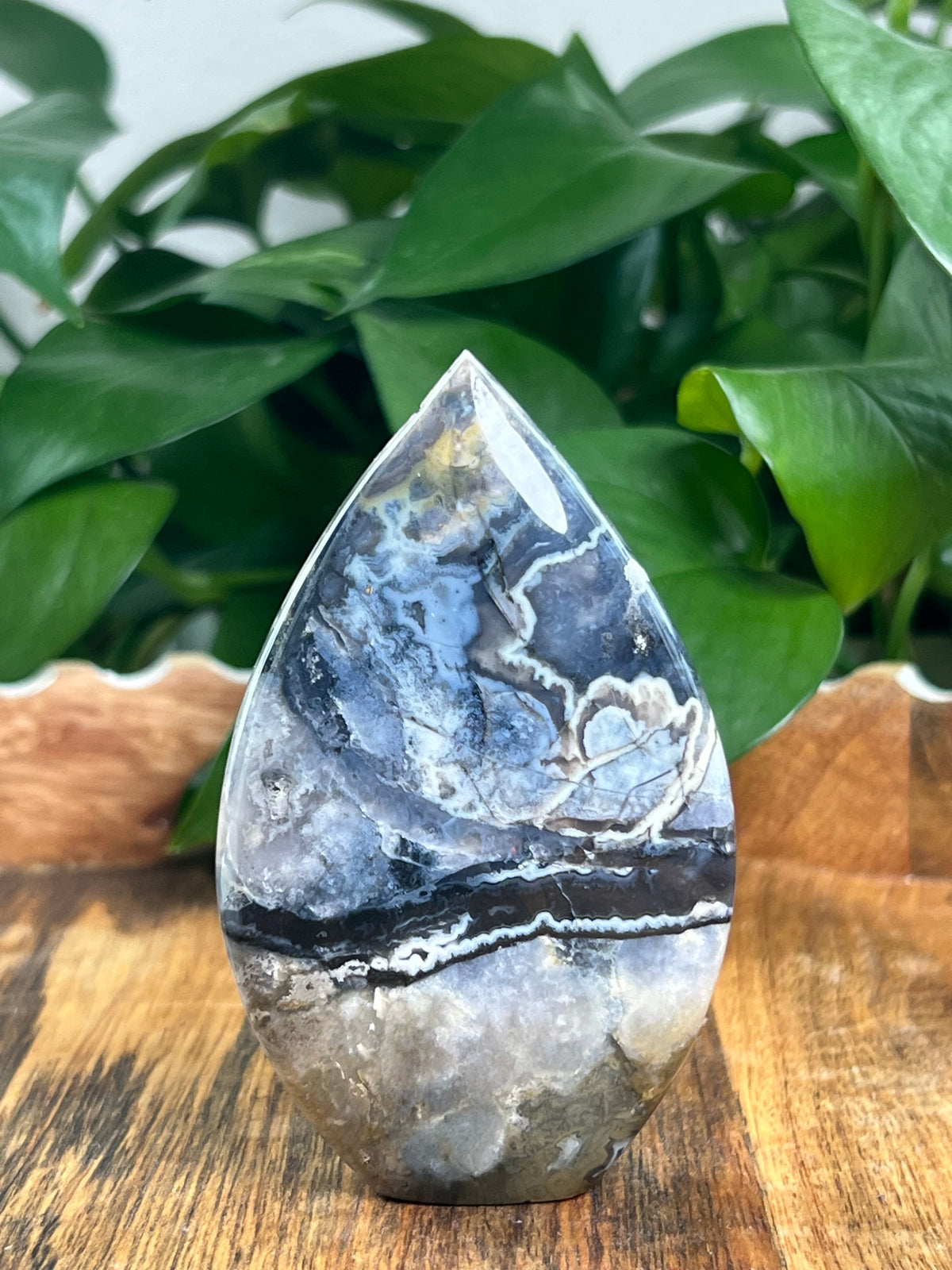 Blue Plume Agate Flame: SX