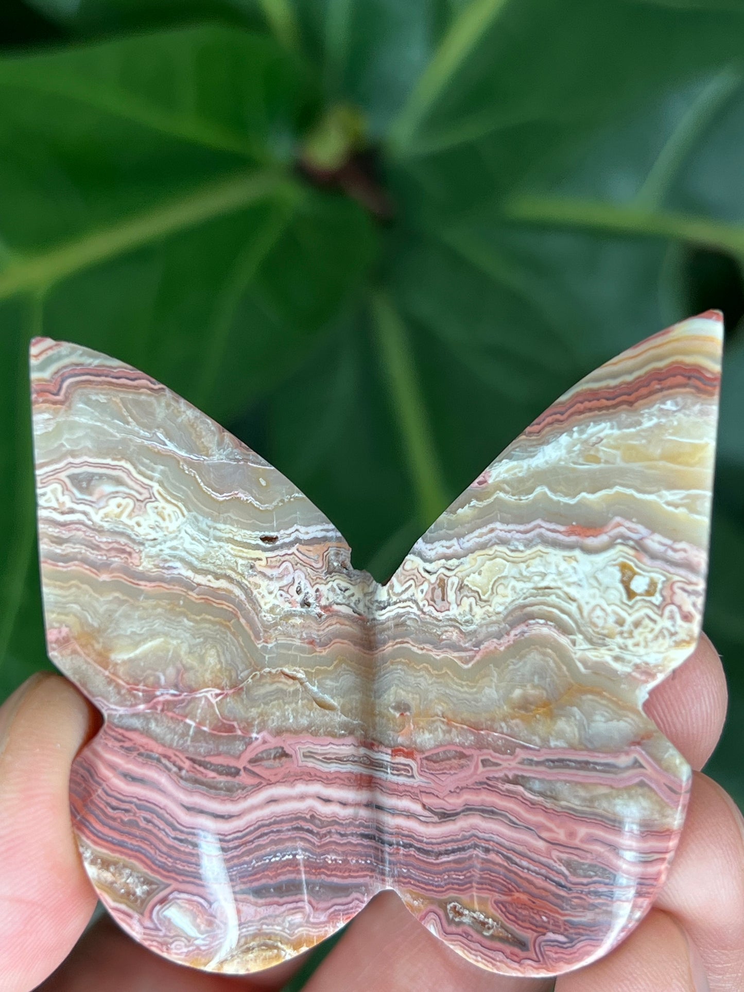 3D Butterfly Crazy Lace Agate