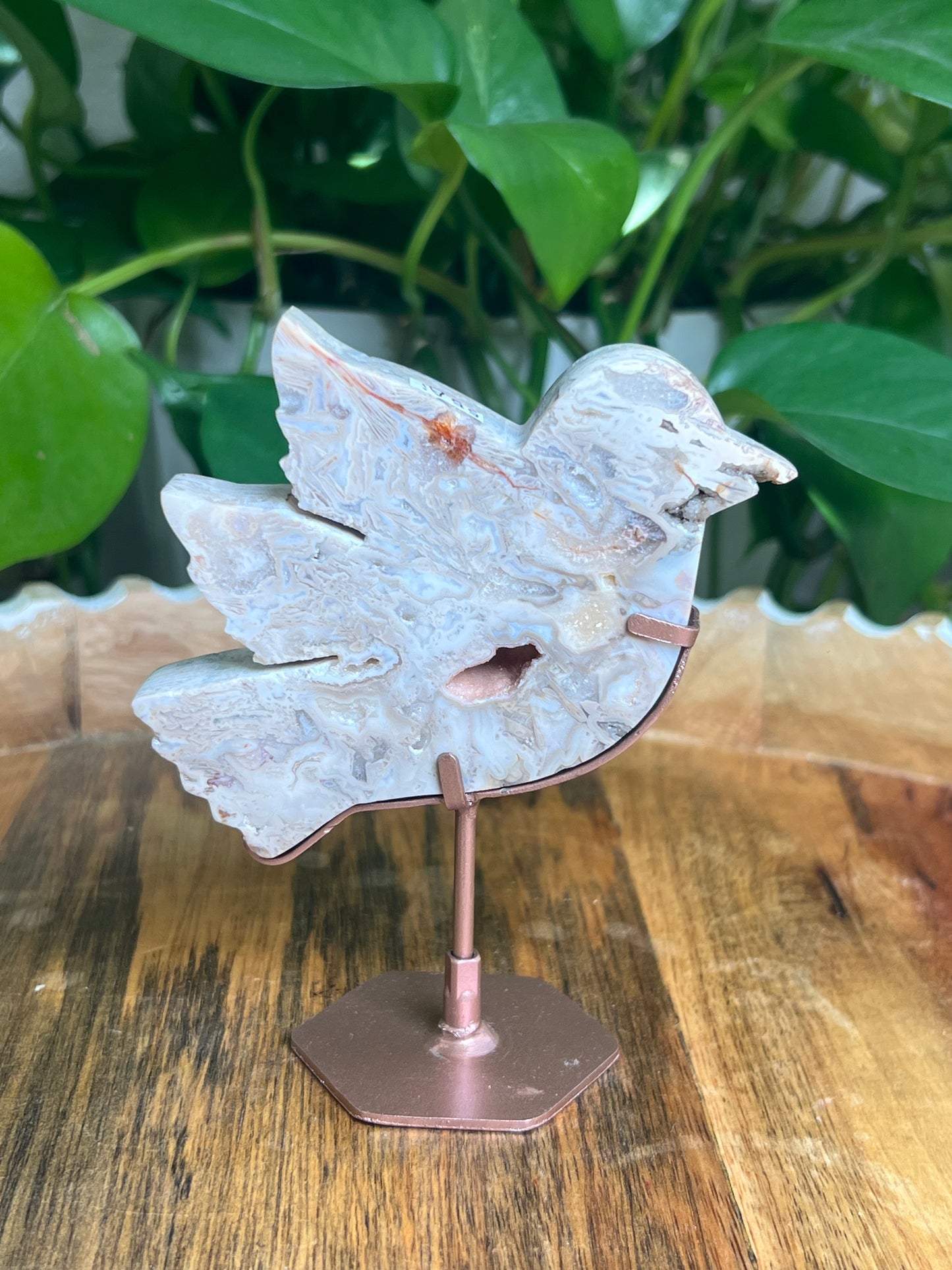 Tube Agate Bird: Ai
