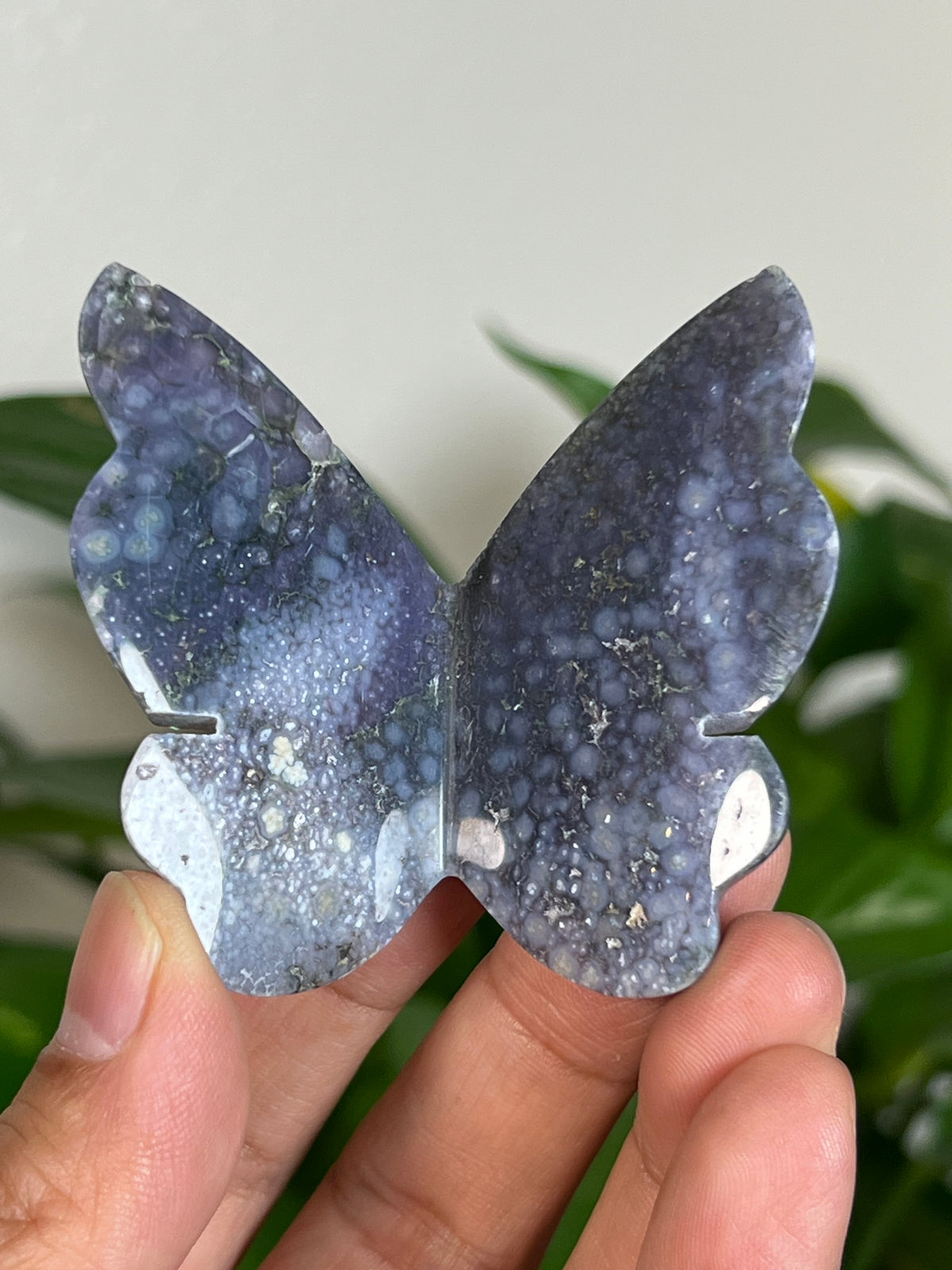 Grape Agate 3D Butterflies
