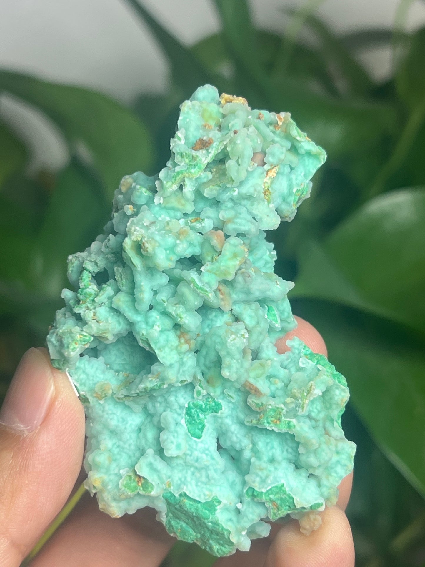 Smithsonite Specimen HS
