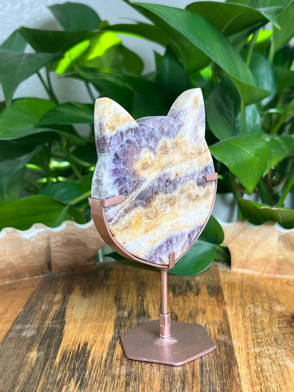 Indonesian Amethyst Cat Head: BB