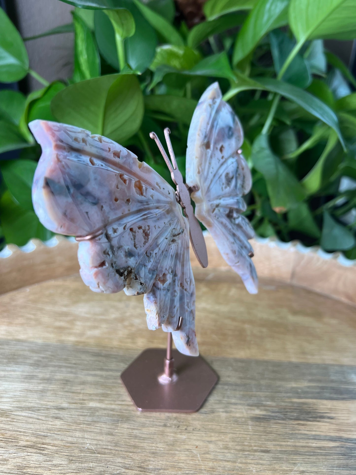 Rainbow Plume Agate Wings