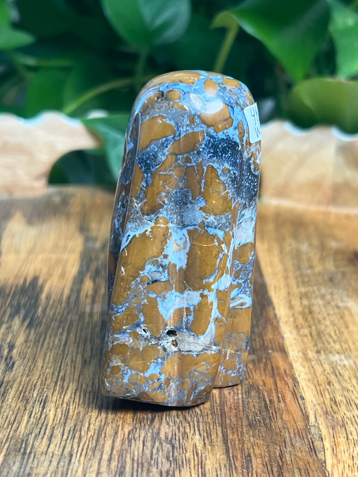 Brecciated Jasper Ghost: W