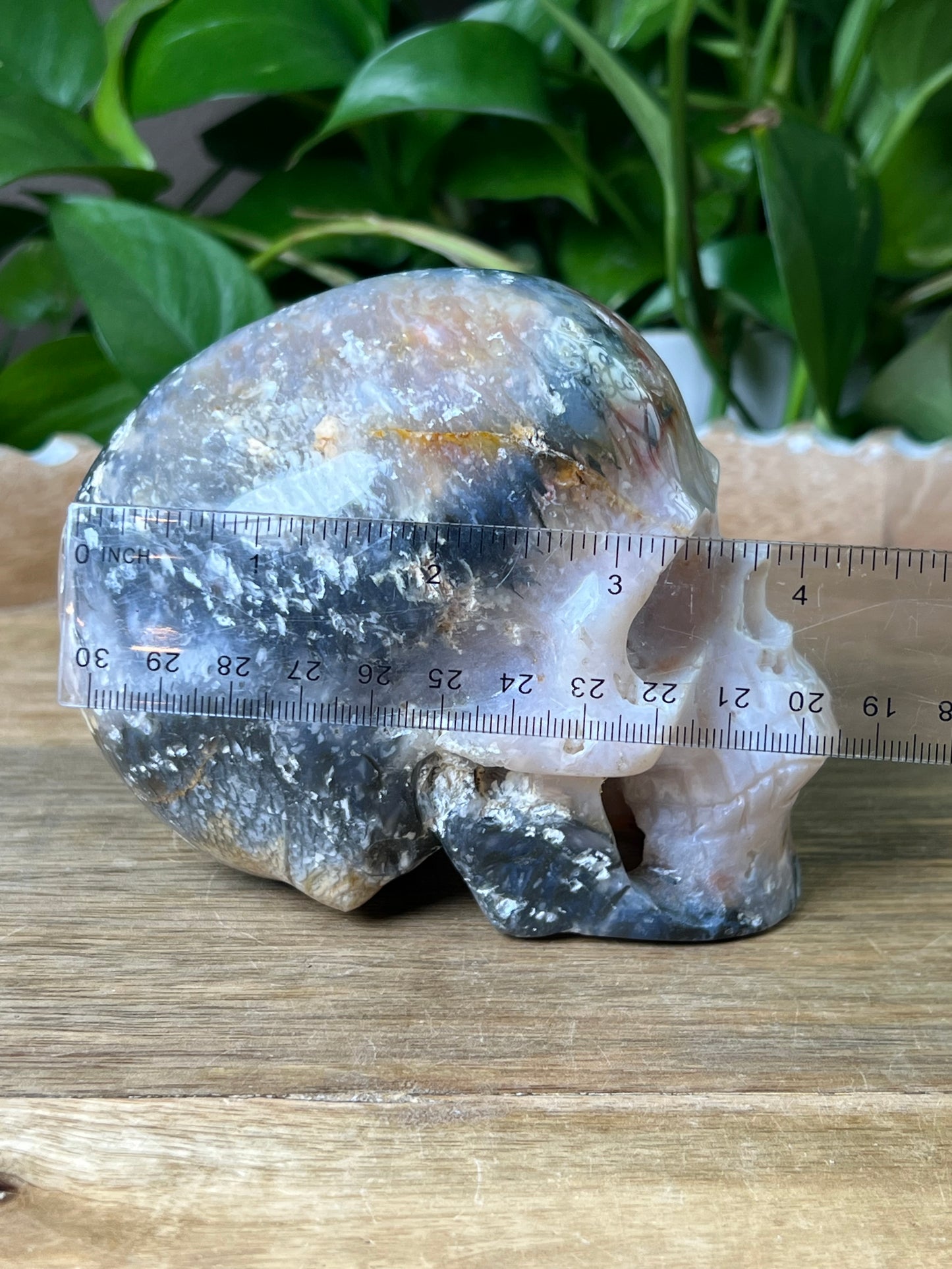 Rainbow Plume Agate Skull