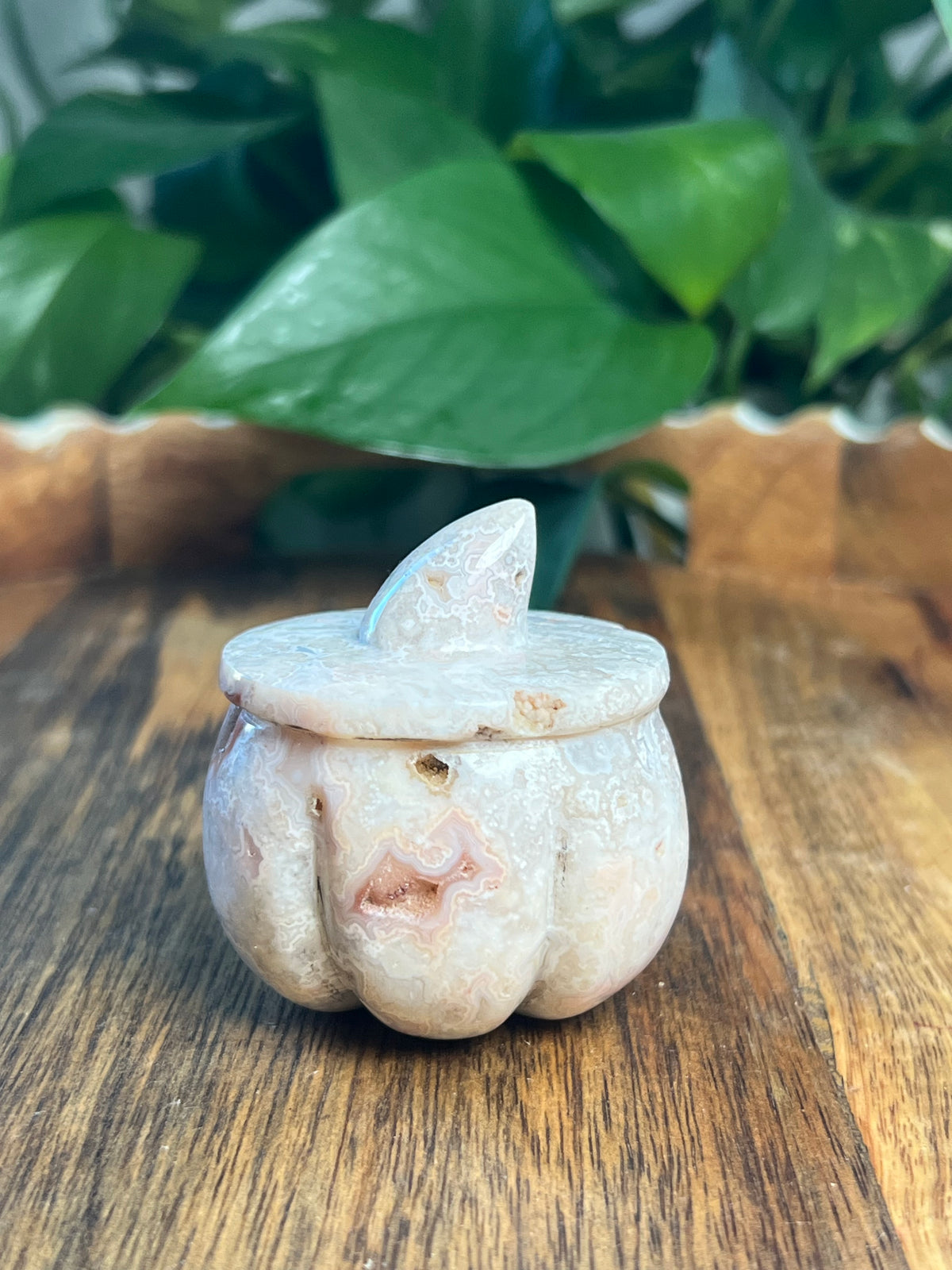 Crazy Lace Agate Pumpkin: D