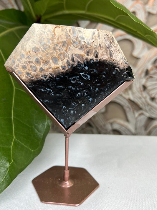 Palm Root Diamond