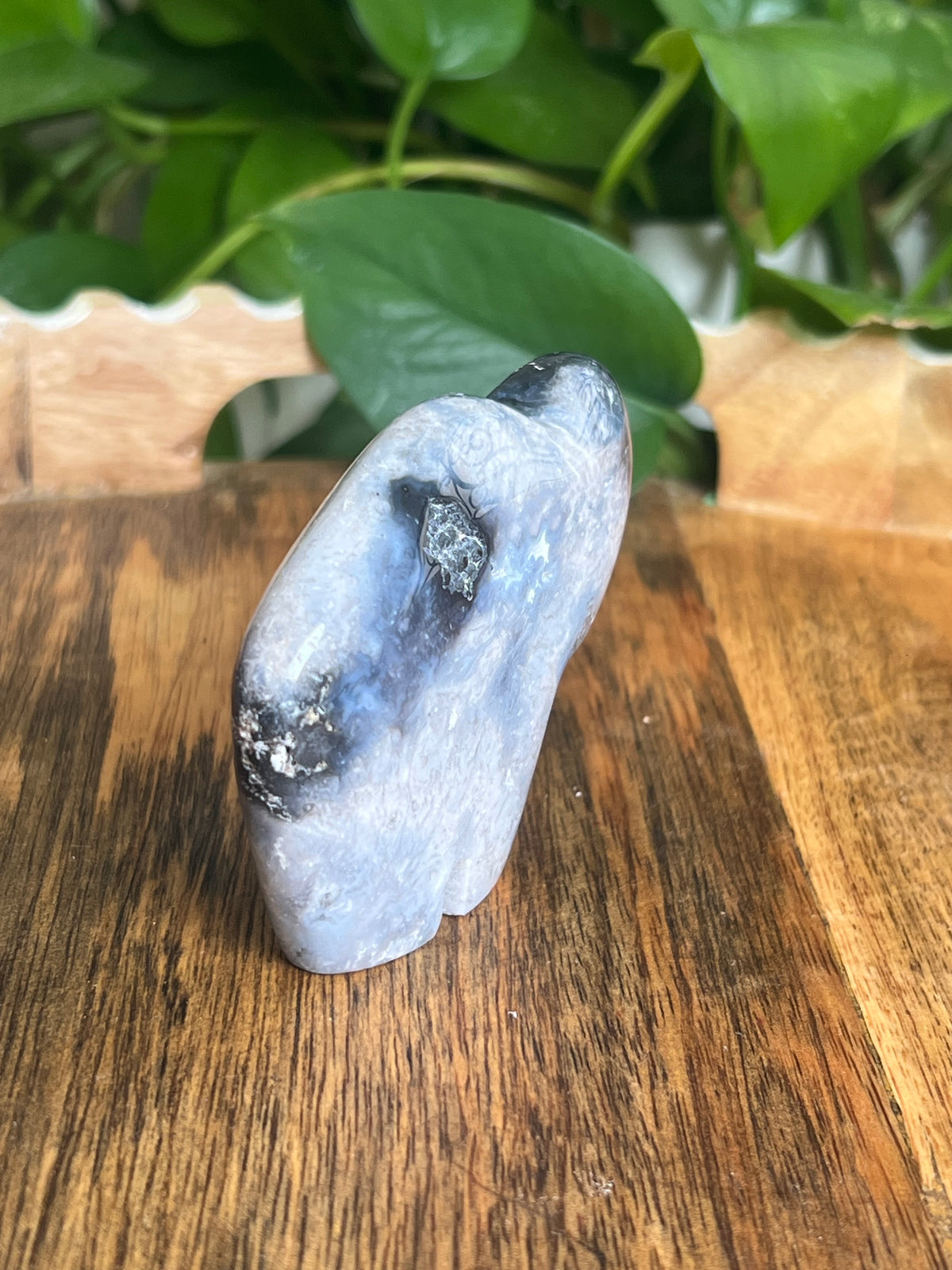 Blue Plume Agate Buffalo: BC