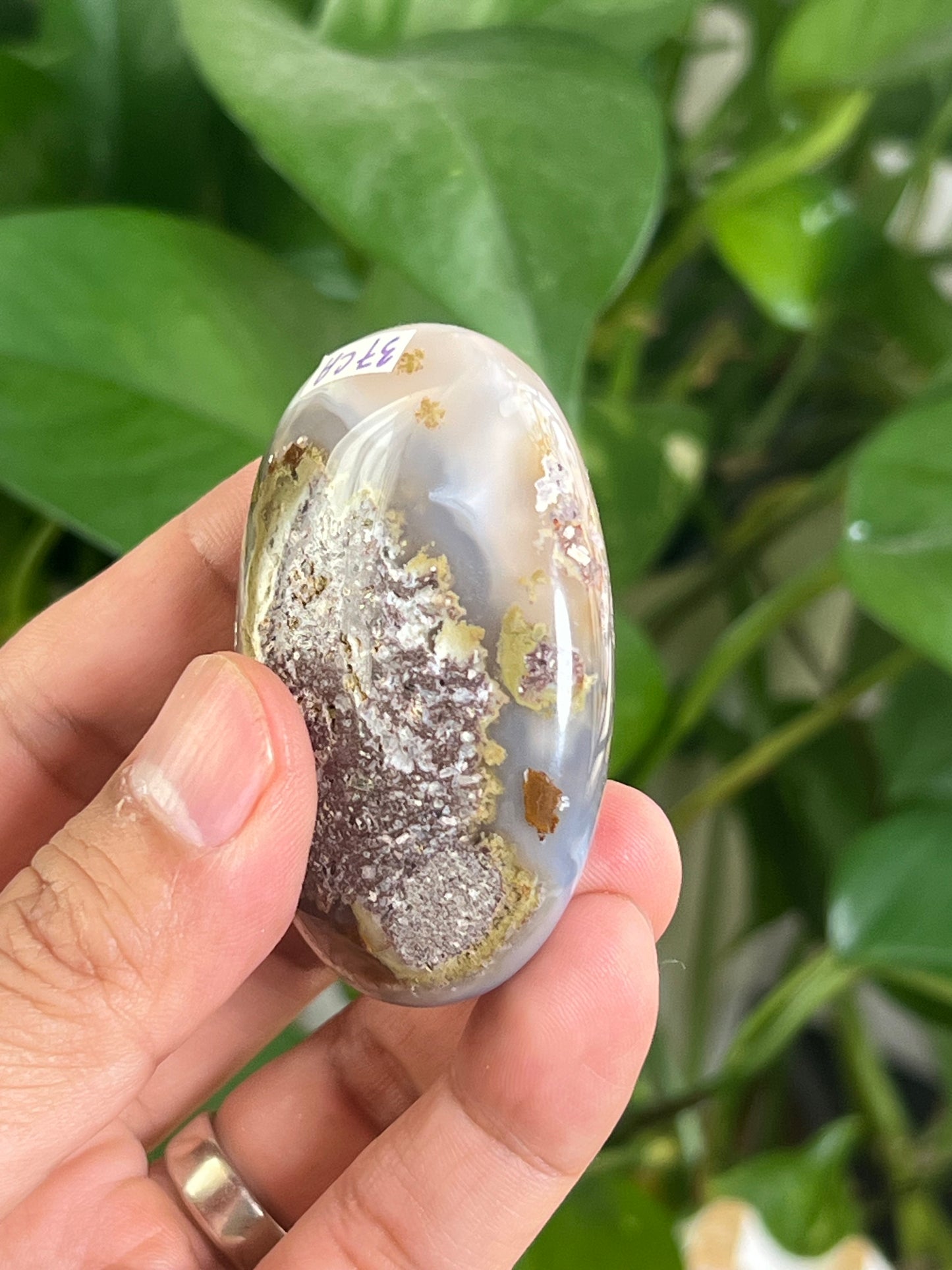 Scenic Moss Agate Palmstone: CA