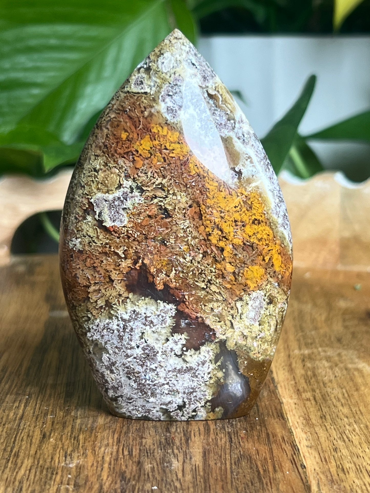 Scenic Moss Agate Flame XB