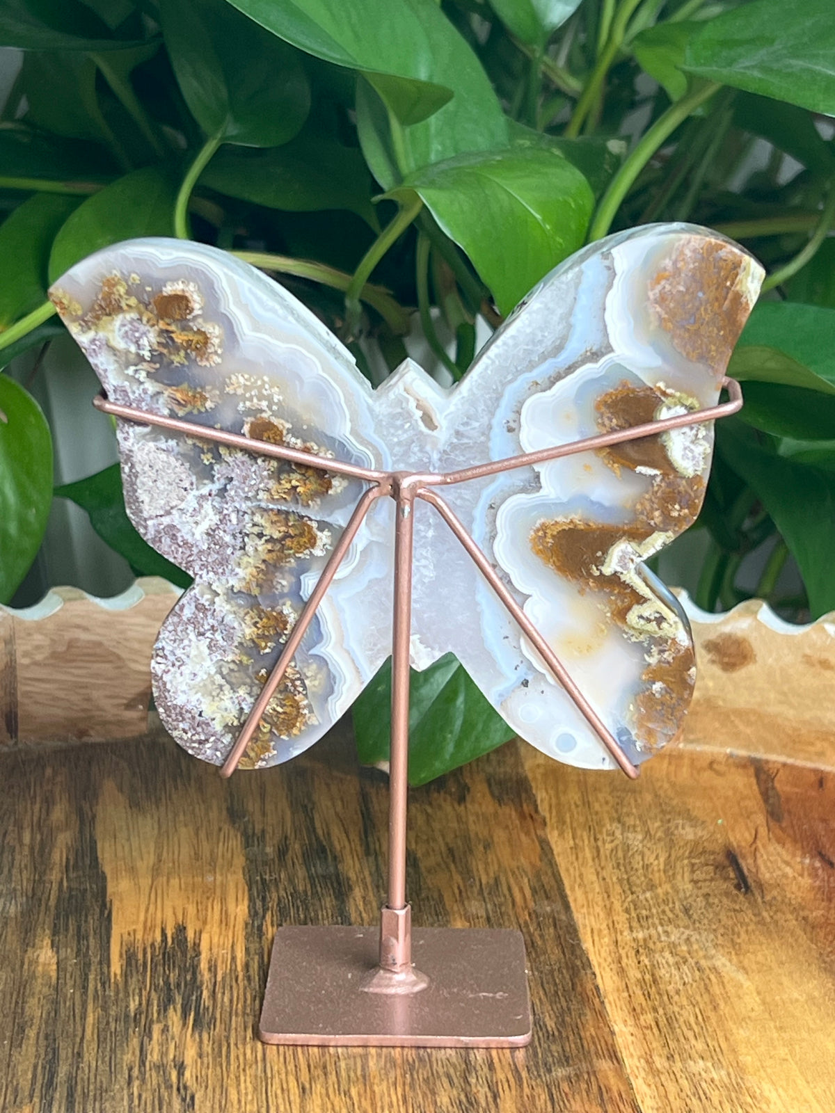 Scenic Moss Agate Butterfly: A