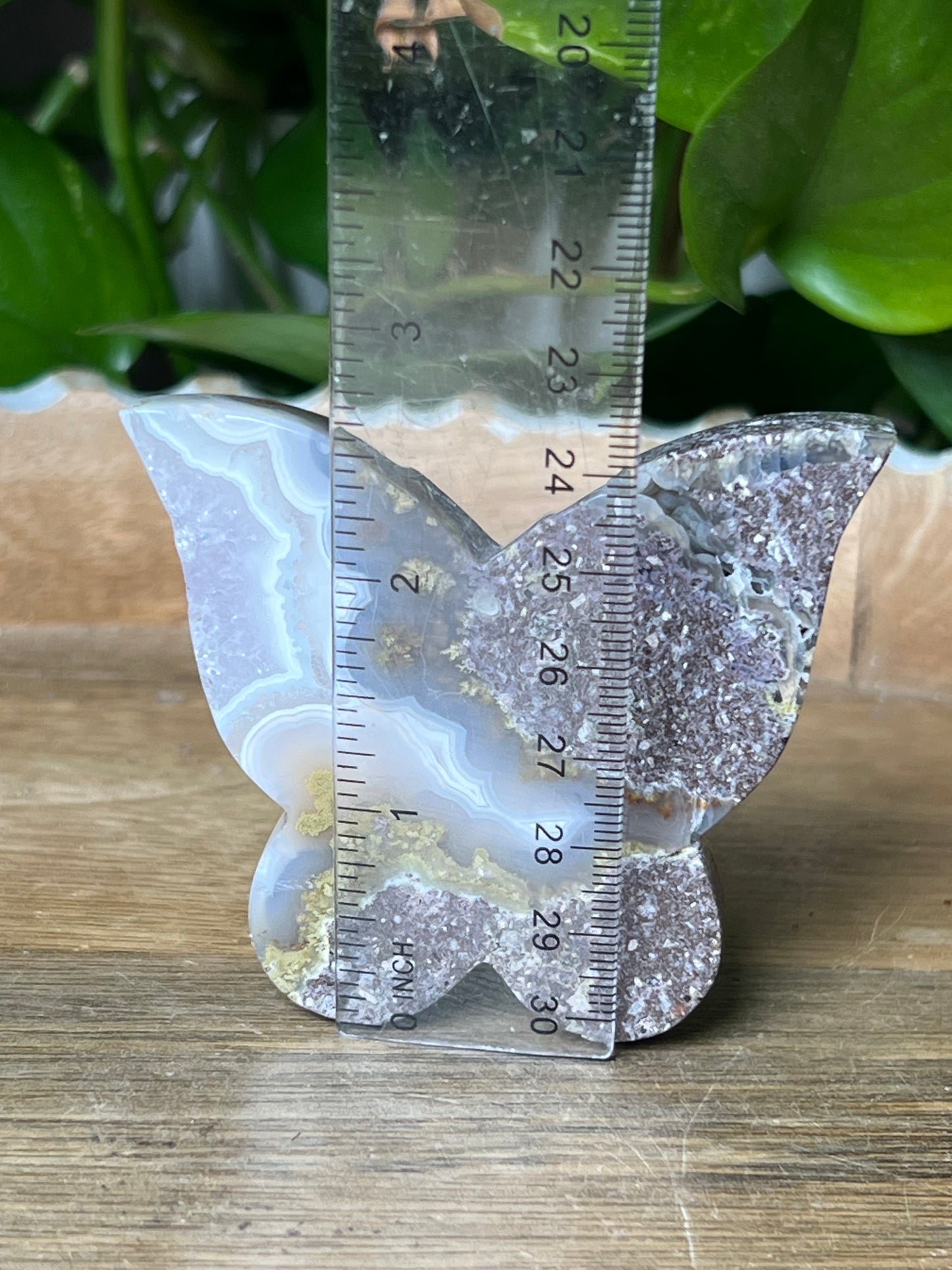 Scenic Moss Agate Butterfly