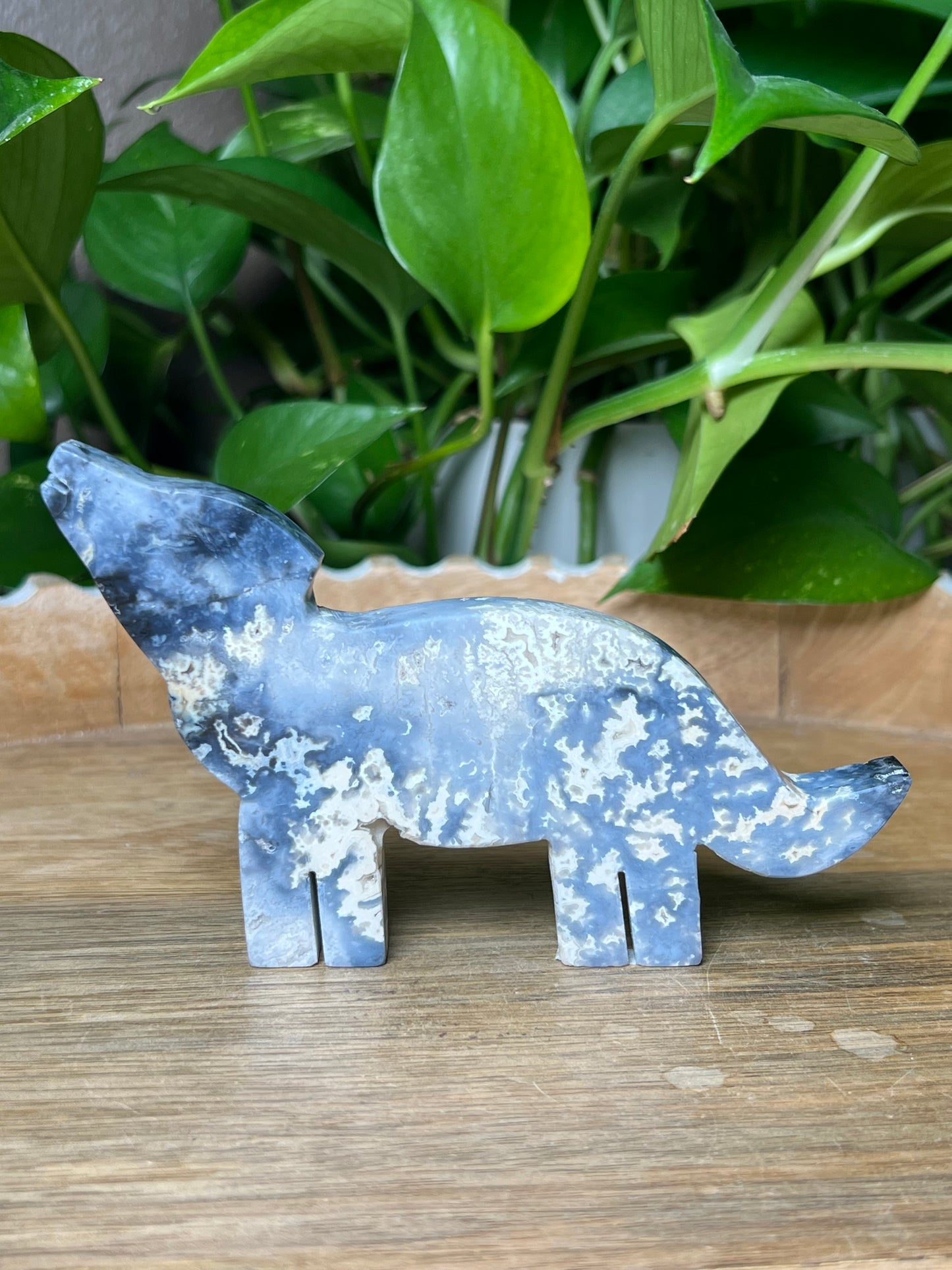 Blue Plume Agate Dog