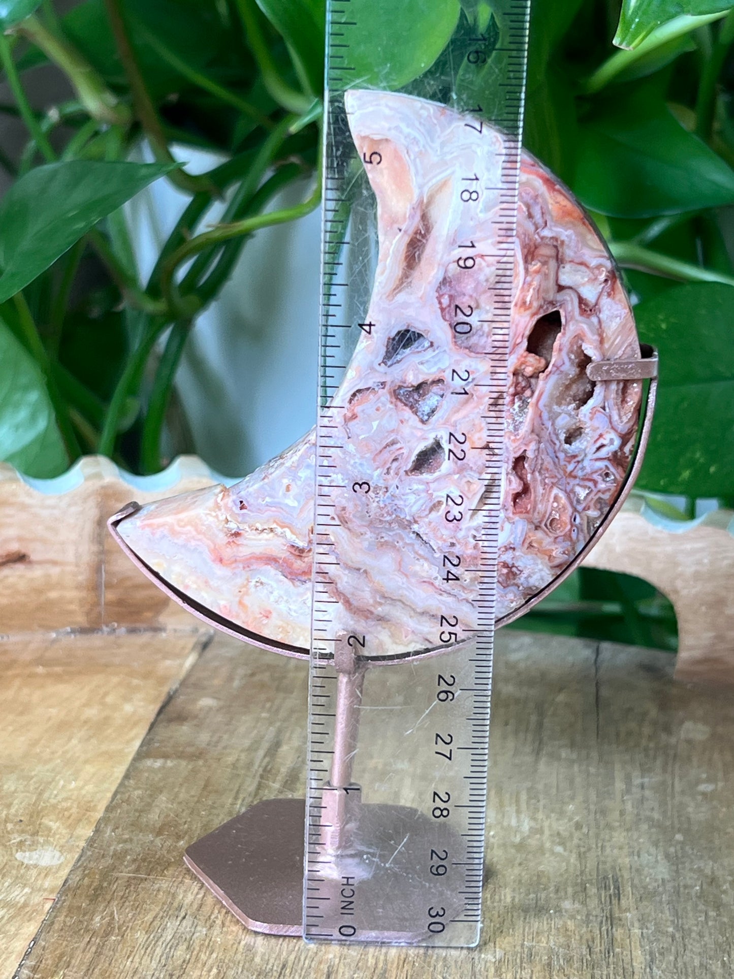 Crazy Lace Agate Moon