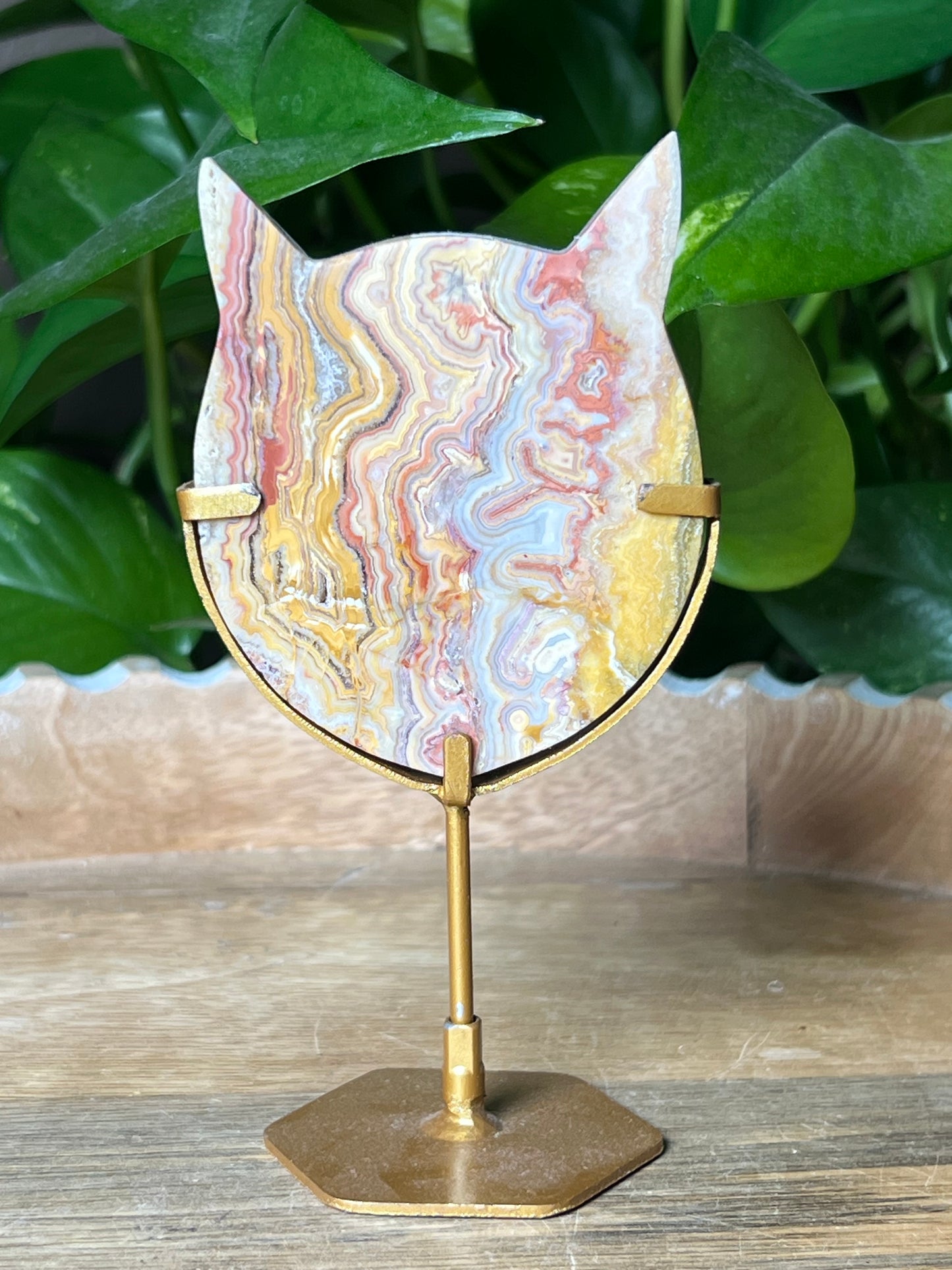 Crazy Lace Agate Cat Head