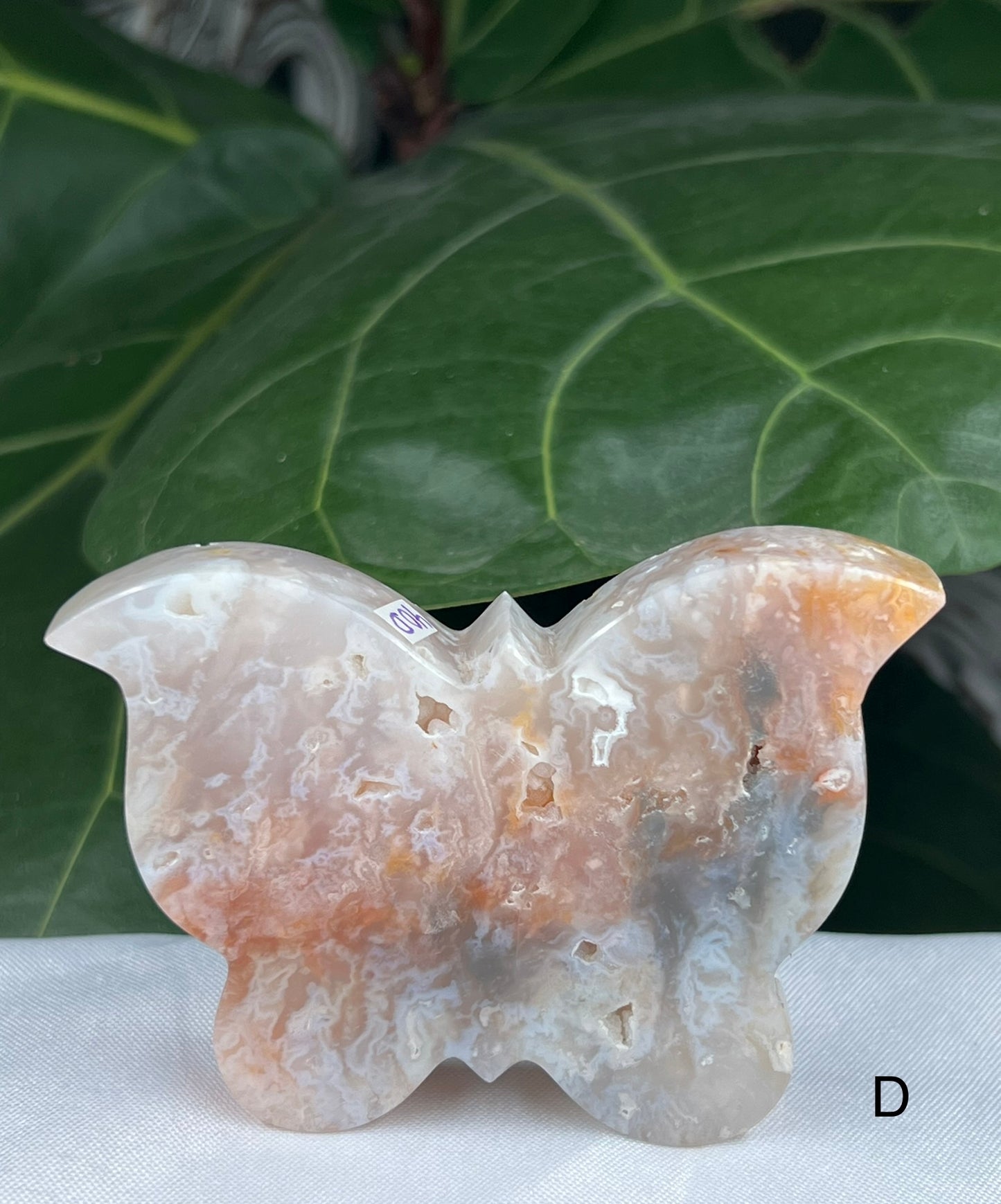 Rainbow Plume Agate Butterfly