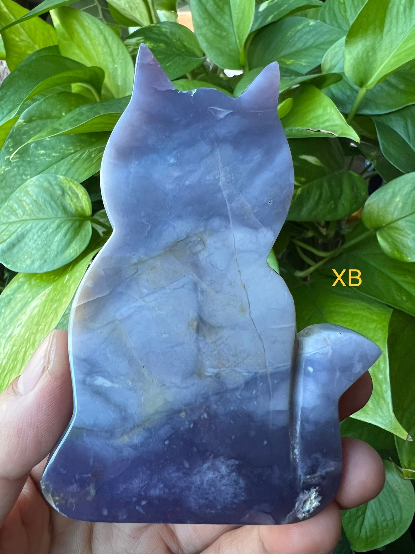 Purple Chalcedony Cat