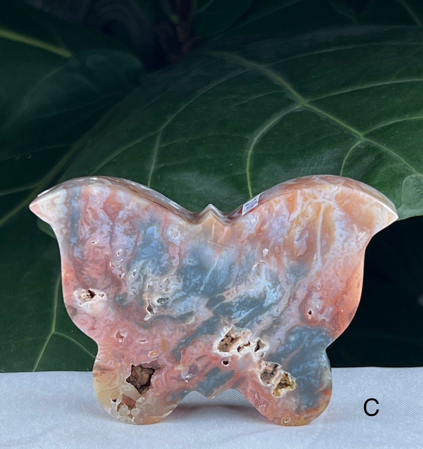 Rainbow Plume Agate Butterfly