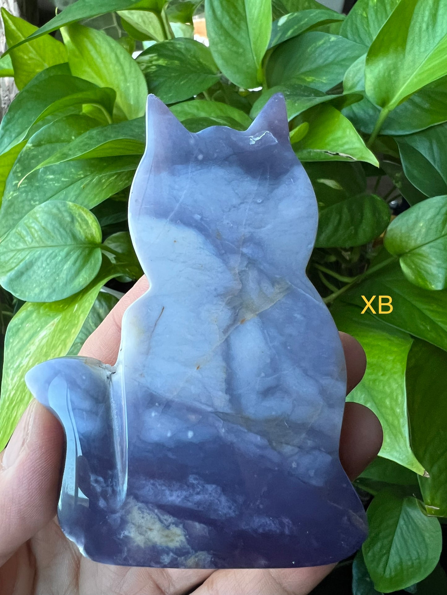 Purple Chalcedony Cat