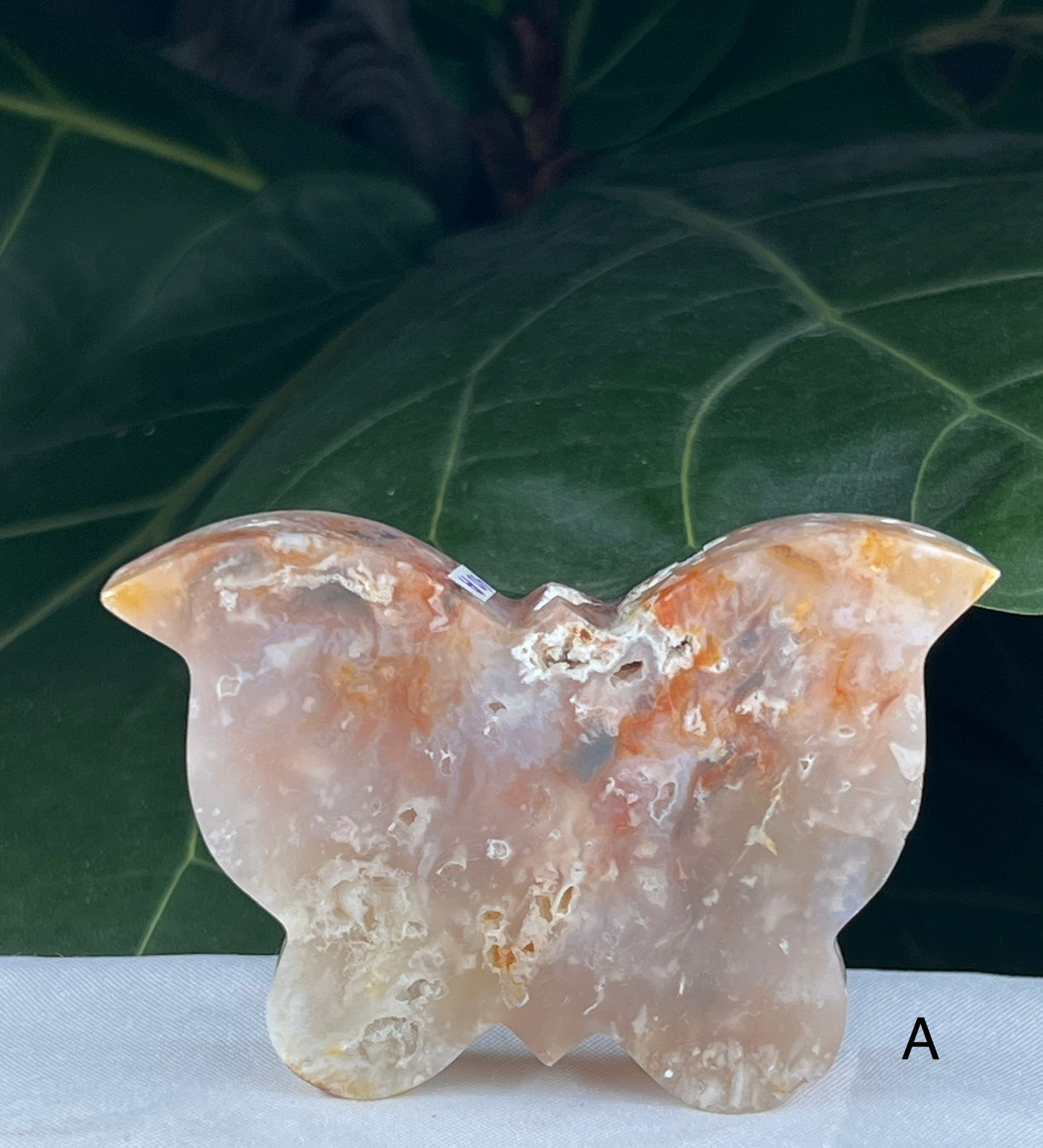 Rainbow Plume Agate Butterfly