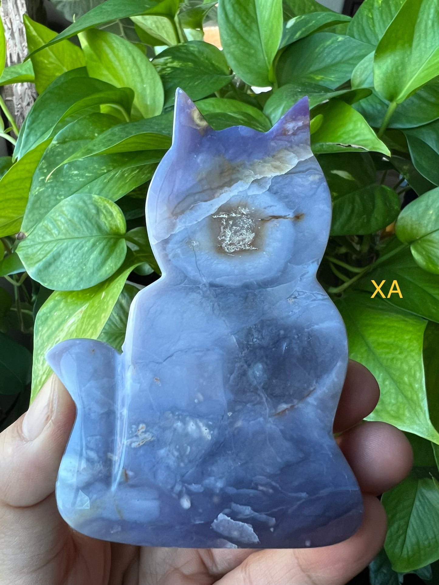 Purple Chalcedony Cat