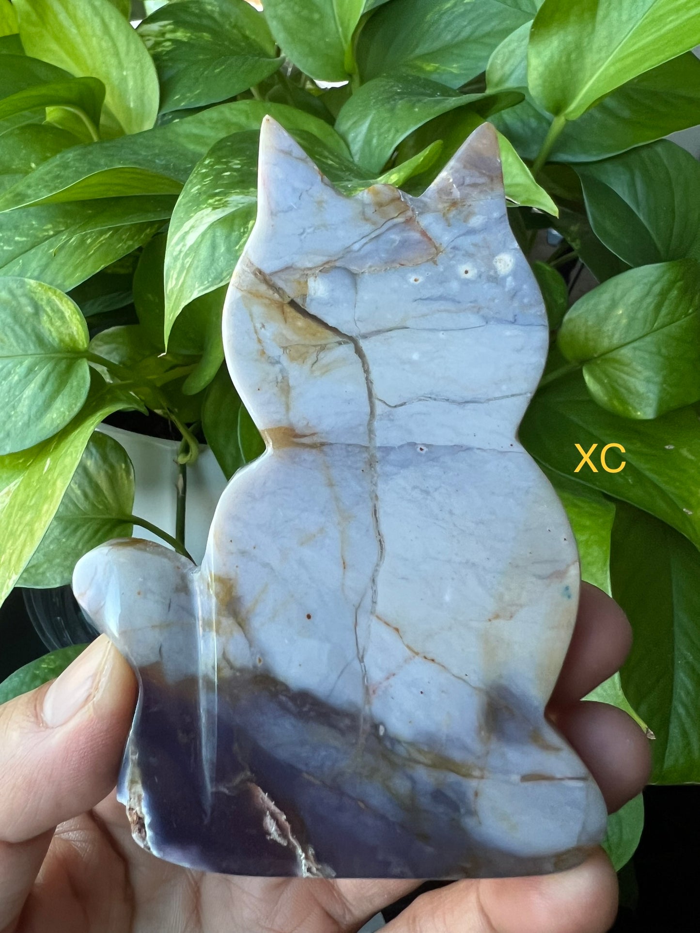 Purple Chalcedony Cat