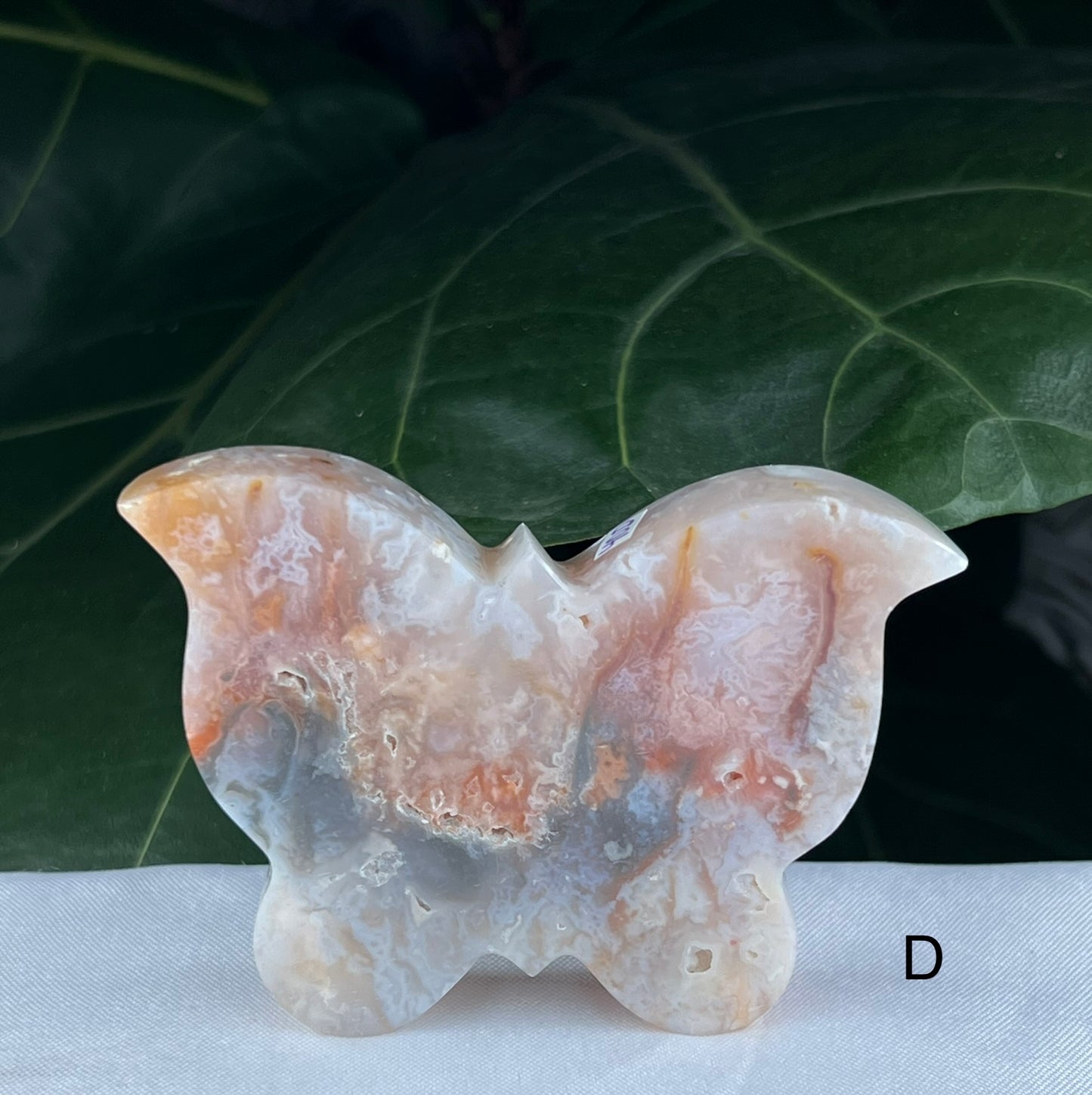 Rainbow Plume Agate Butterfly