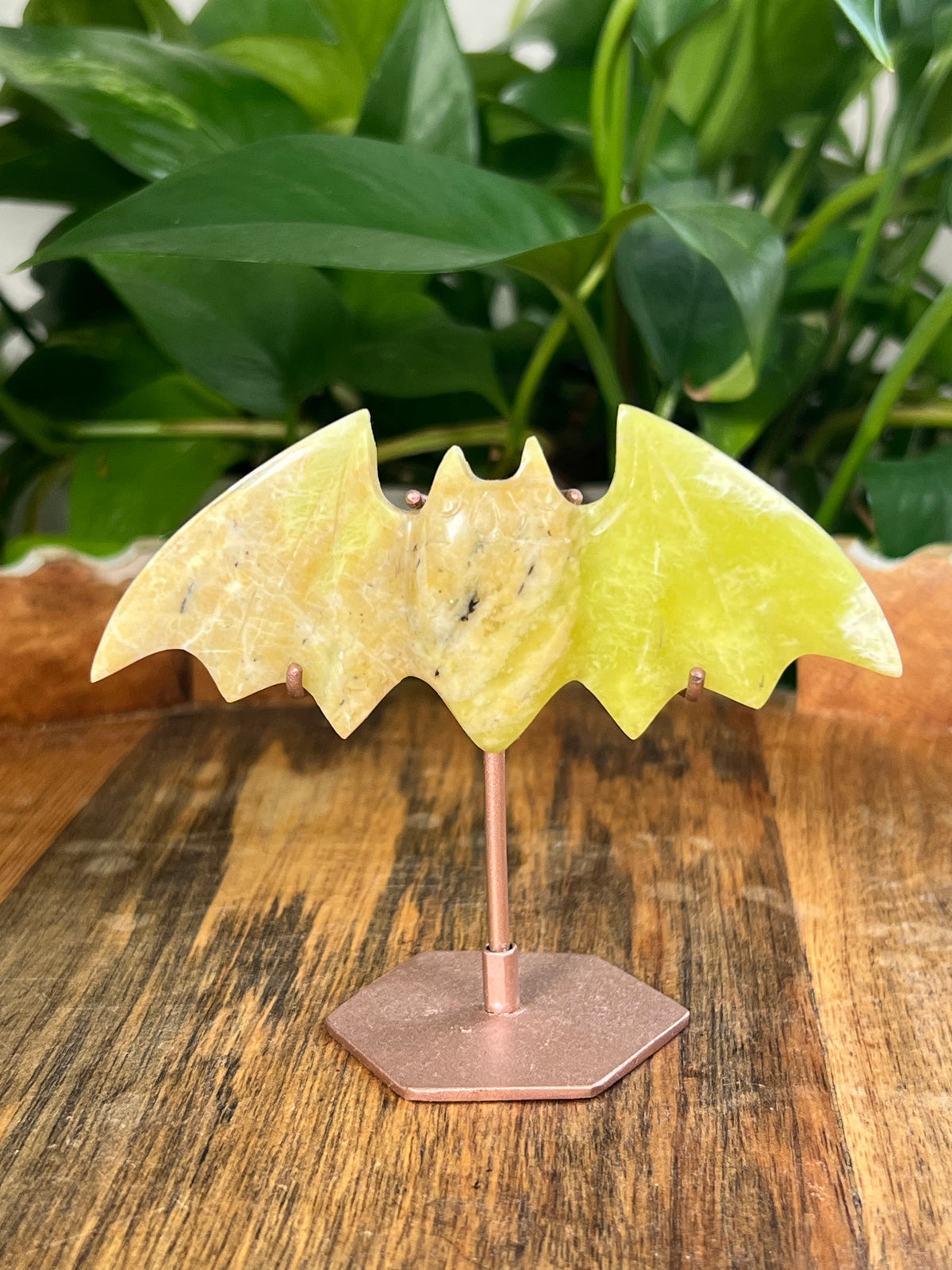 Idocrase Bats