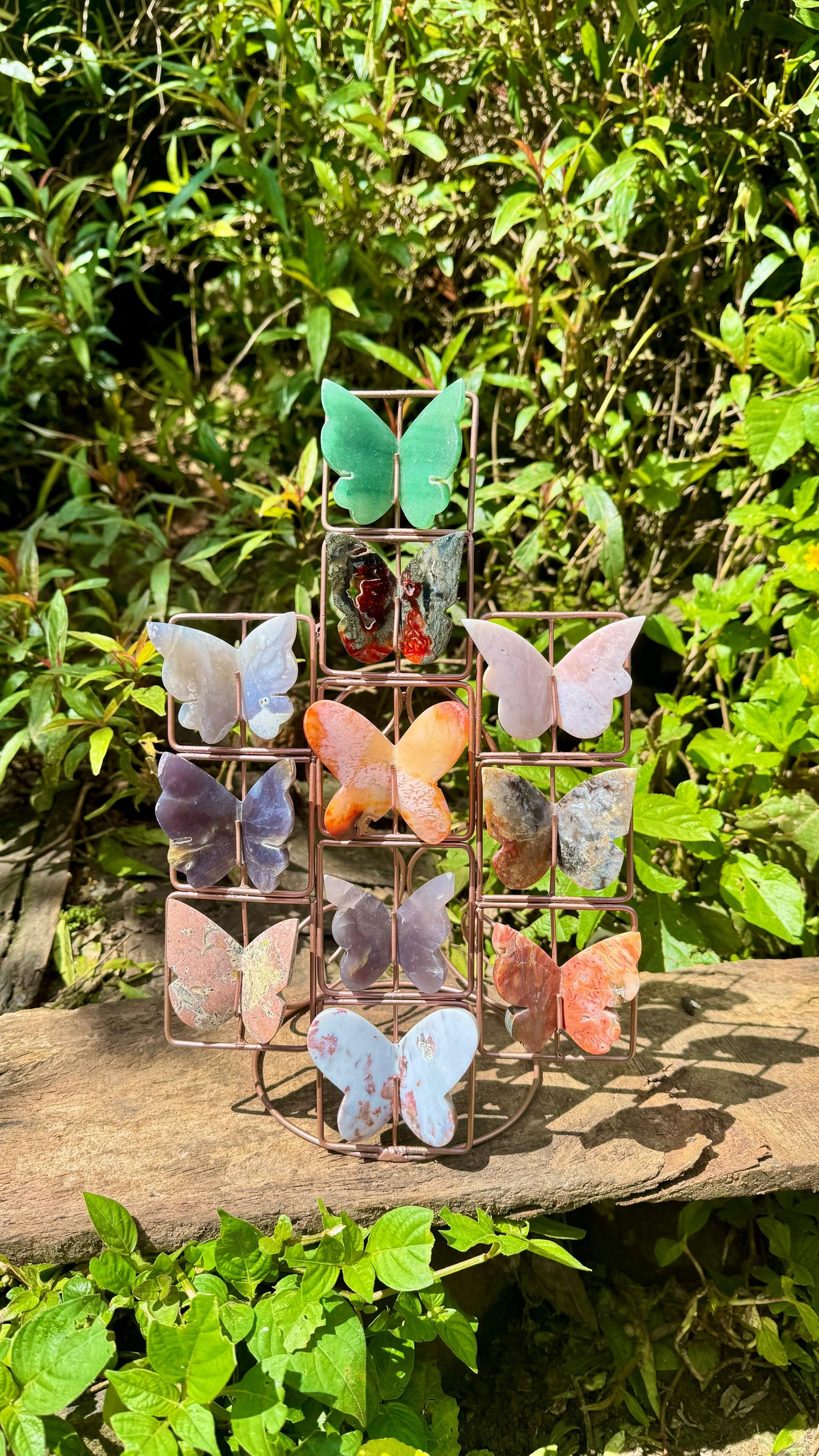 Oak&Quartz Custom 3D Butterfly Stand *PRE-ORDER*