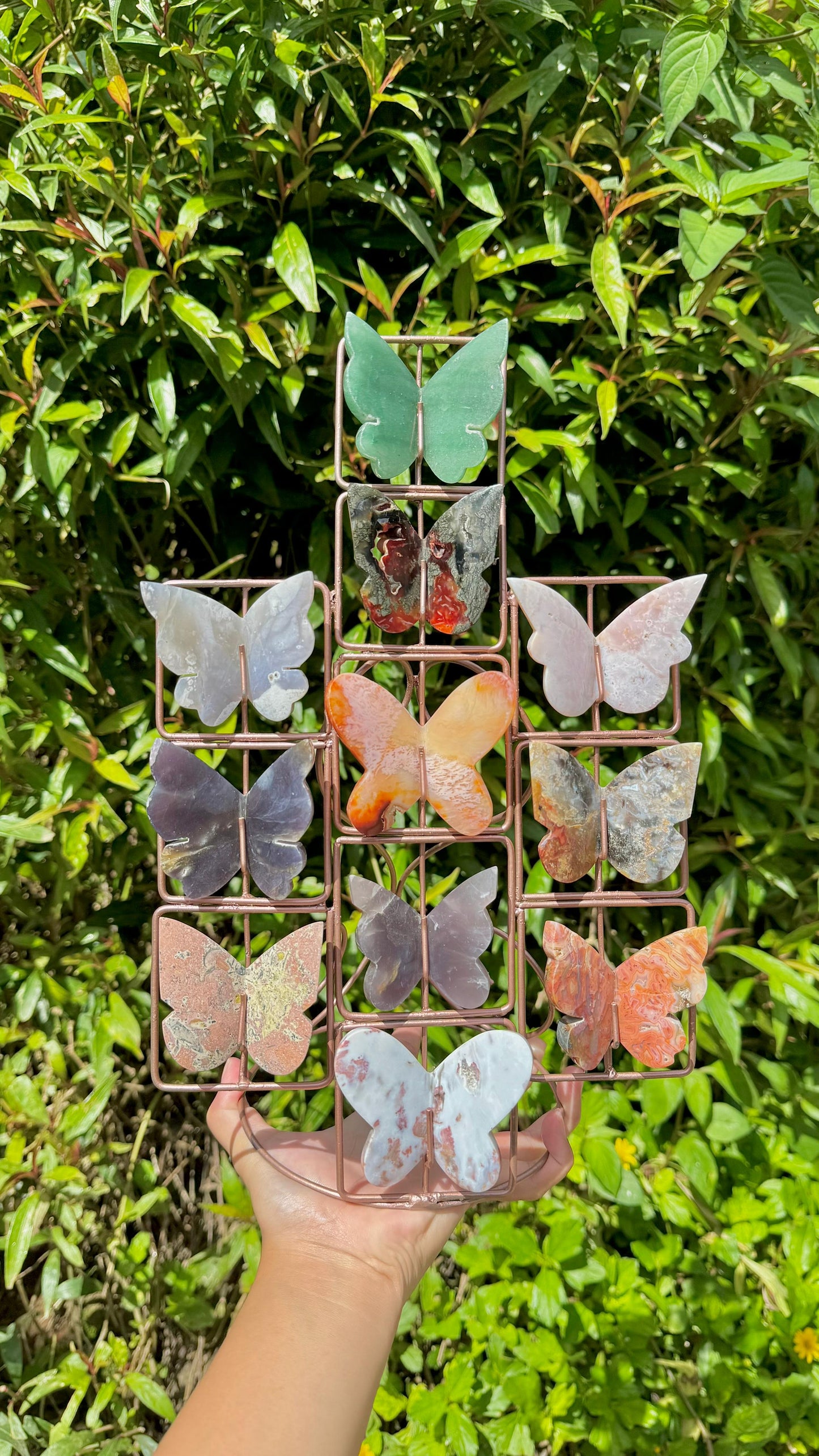 Oak&Quartz Custom 3D Butterfly Stand *PRE-ORDER*