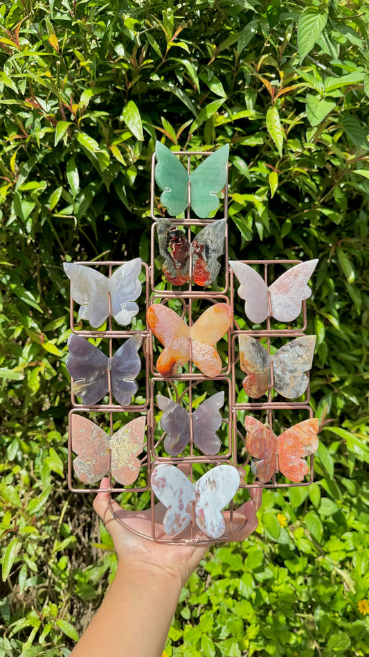 Oak&Quartz Custom 3D Butterfly Stand *PRE-ORDER*